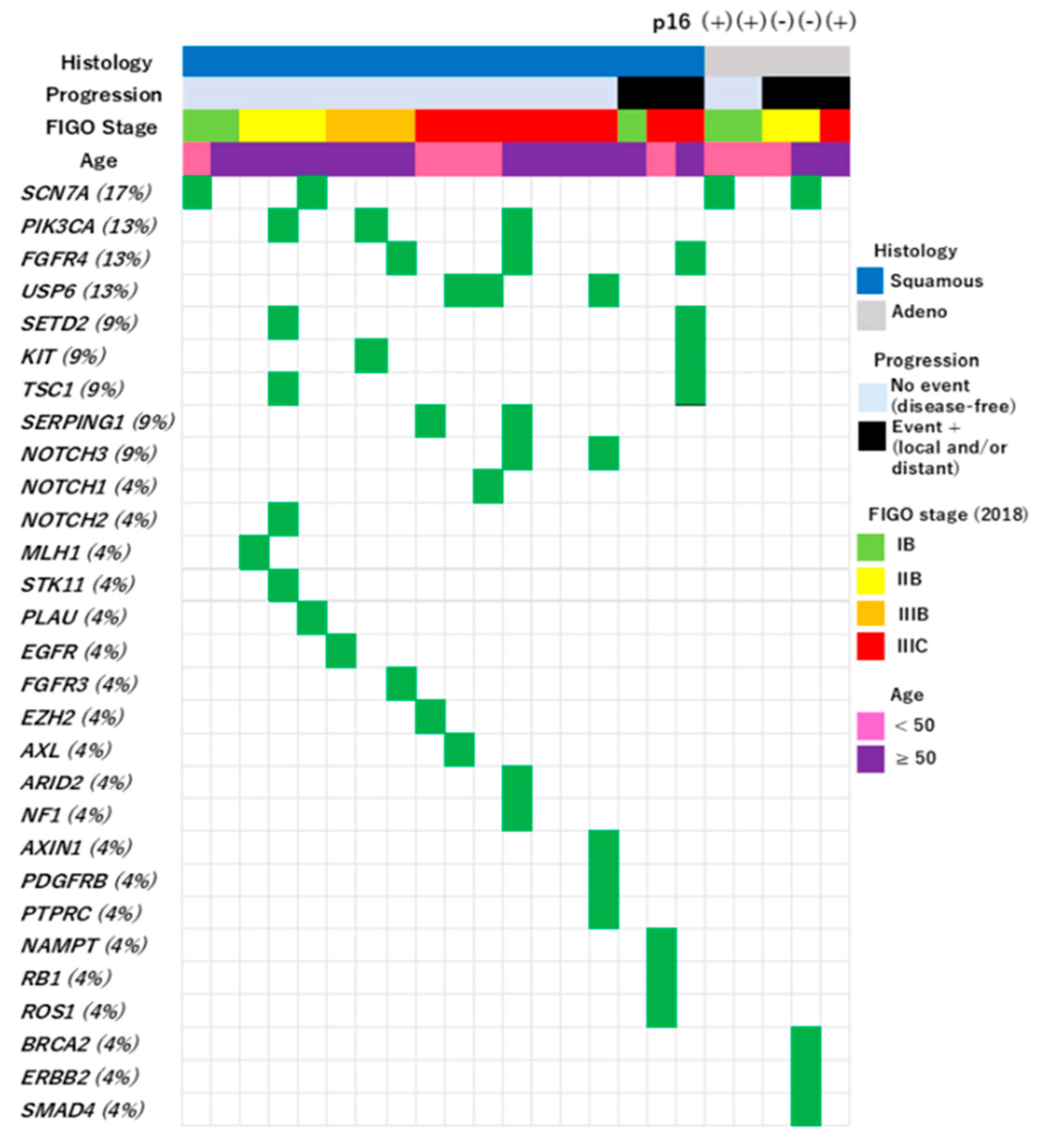 Preprints 148731 g001