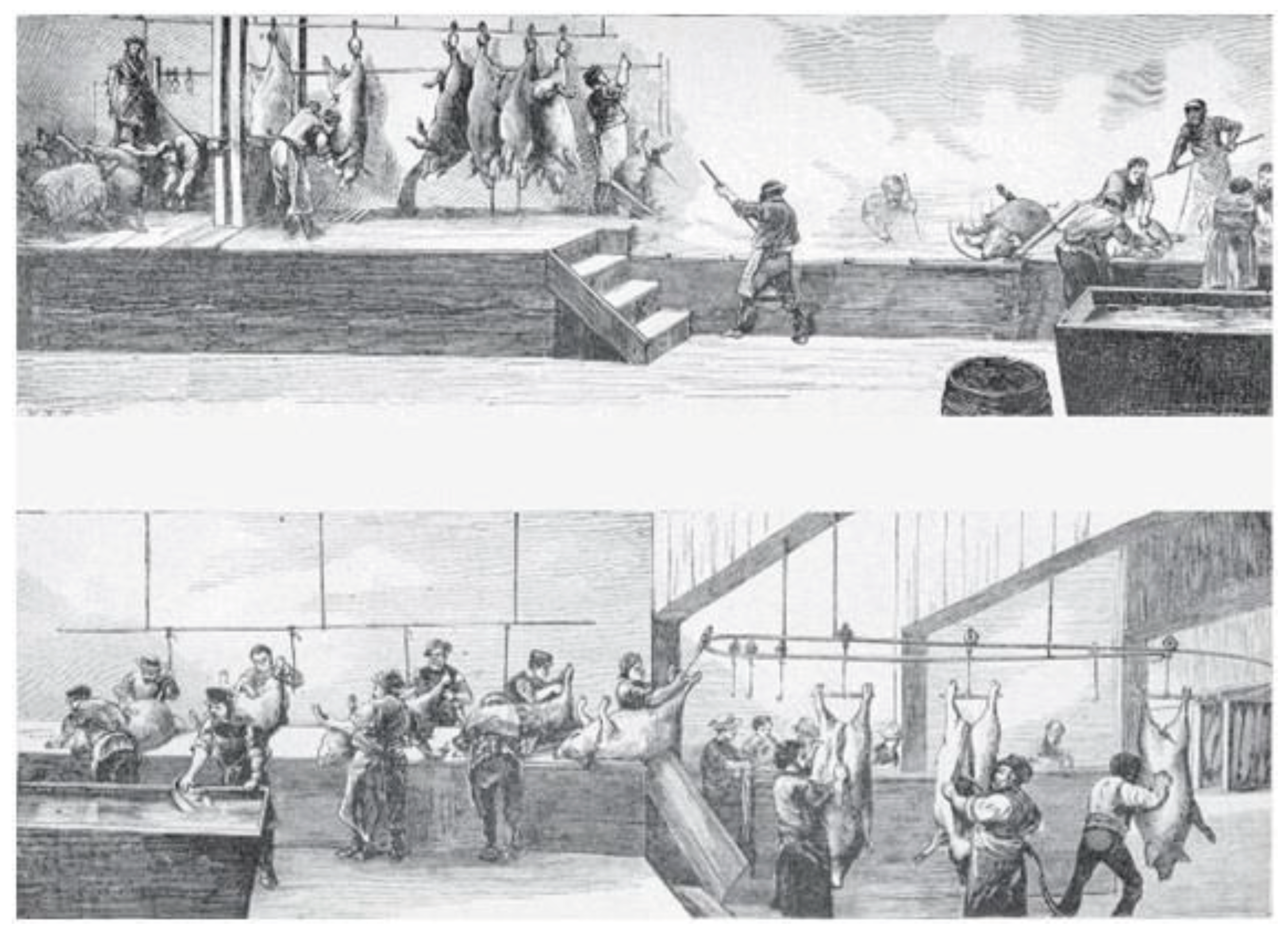 Preprints 99824 i031