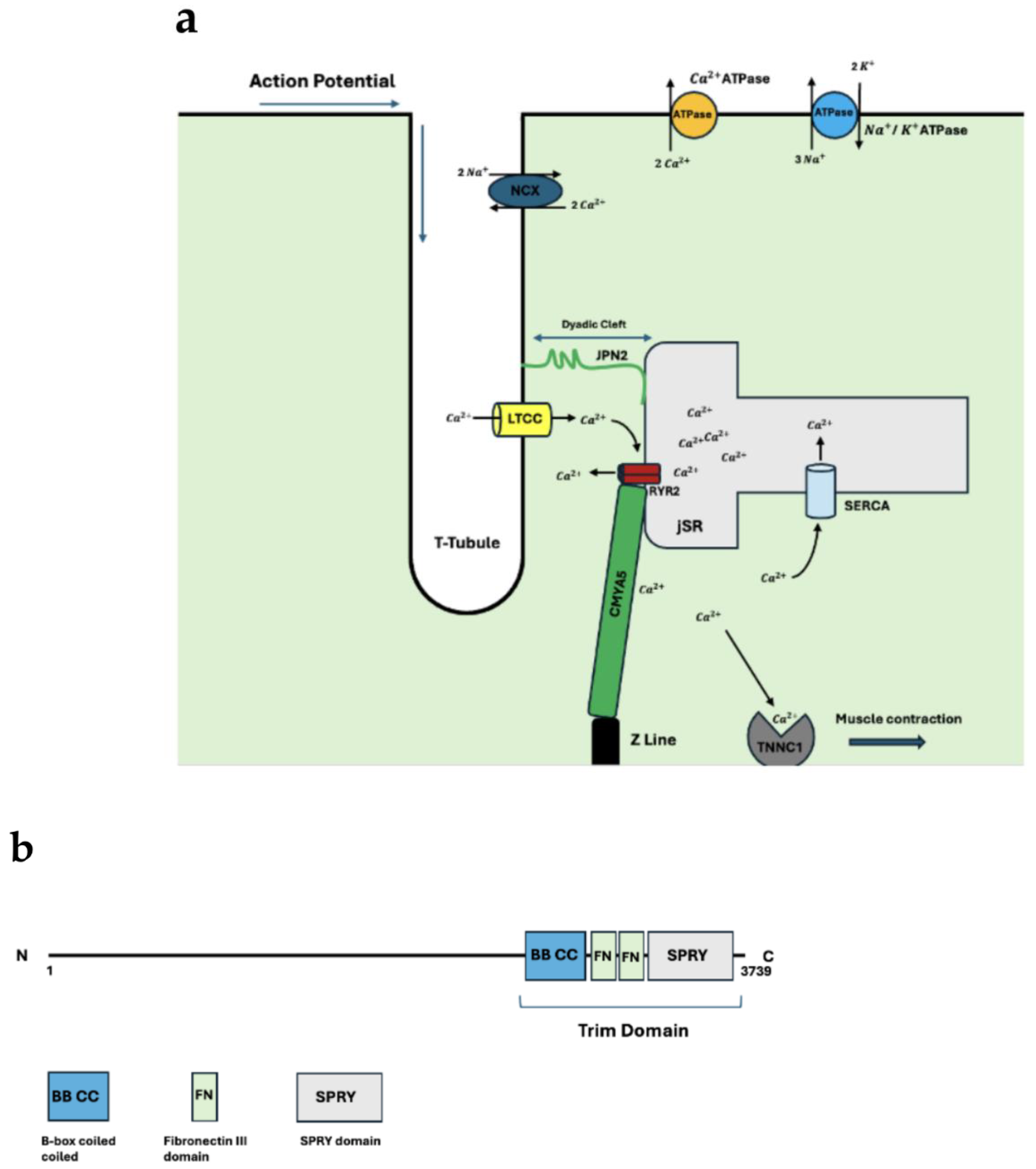 Preprints 163730 g001