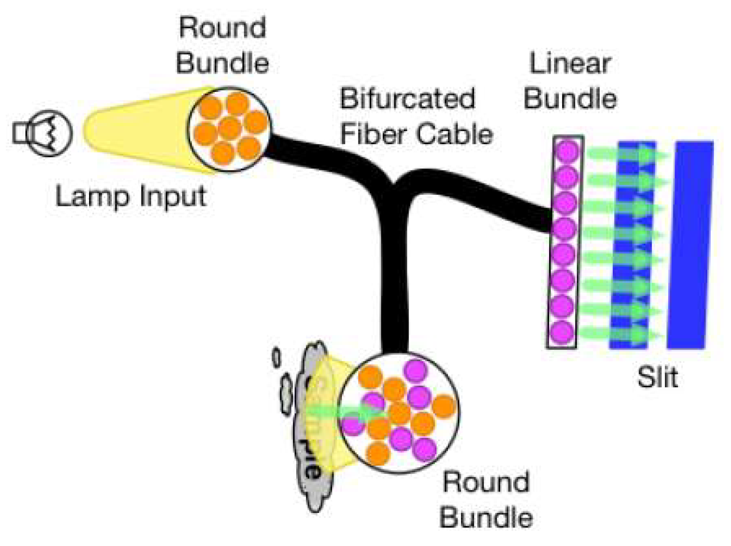 Preprints 191922 g003