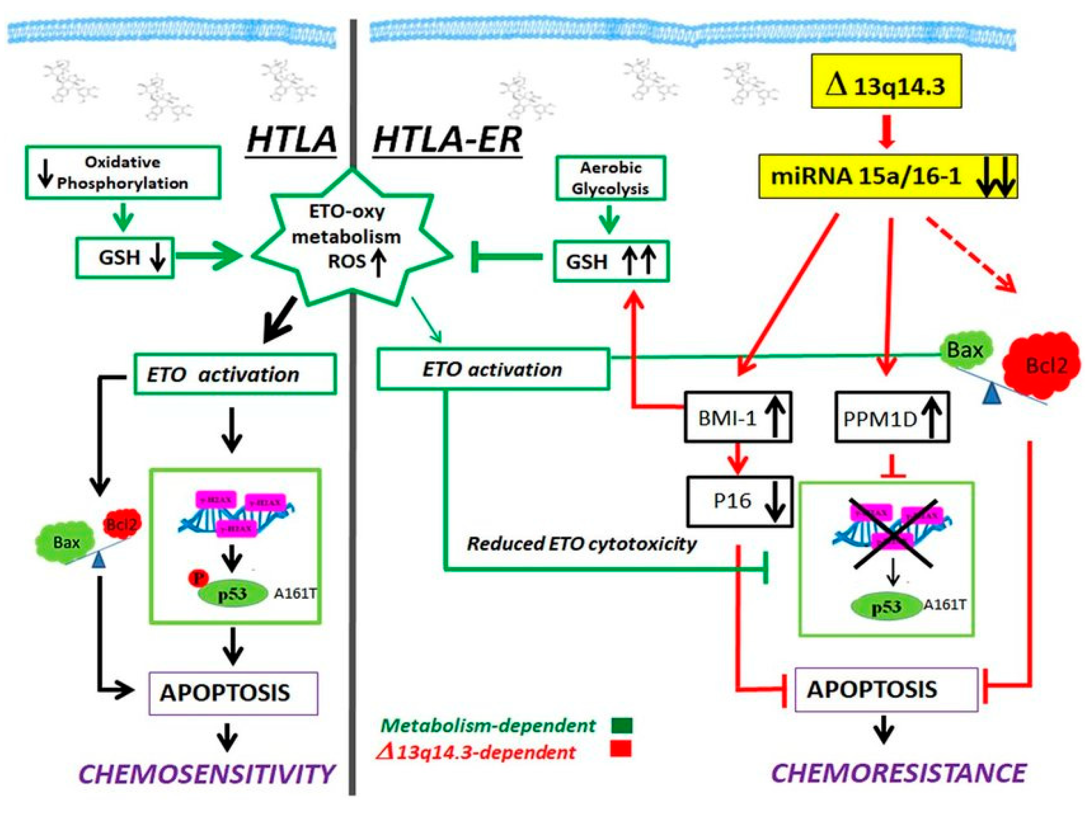 Preprints 197704 g001
