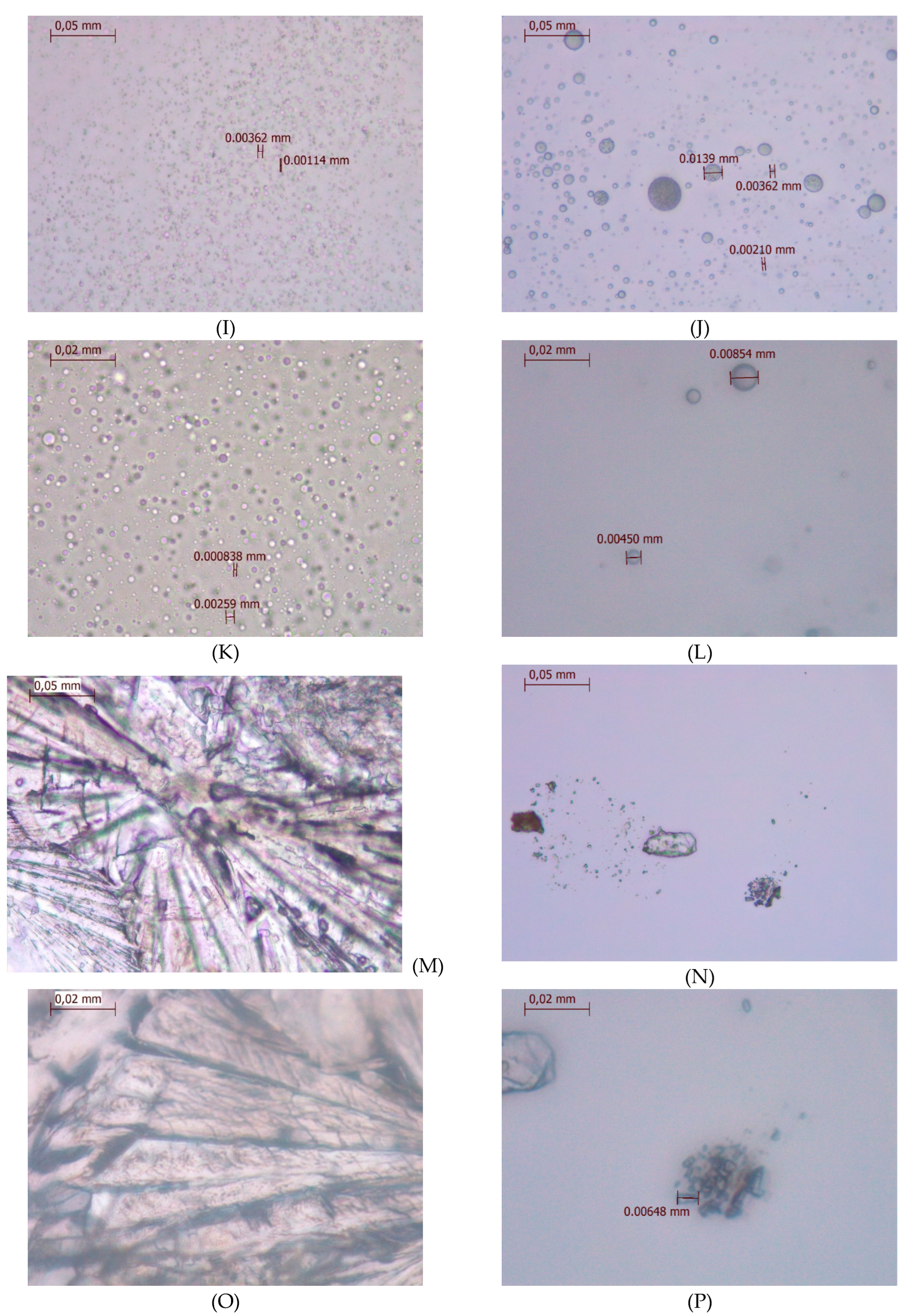 Preprints 197704 g008b