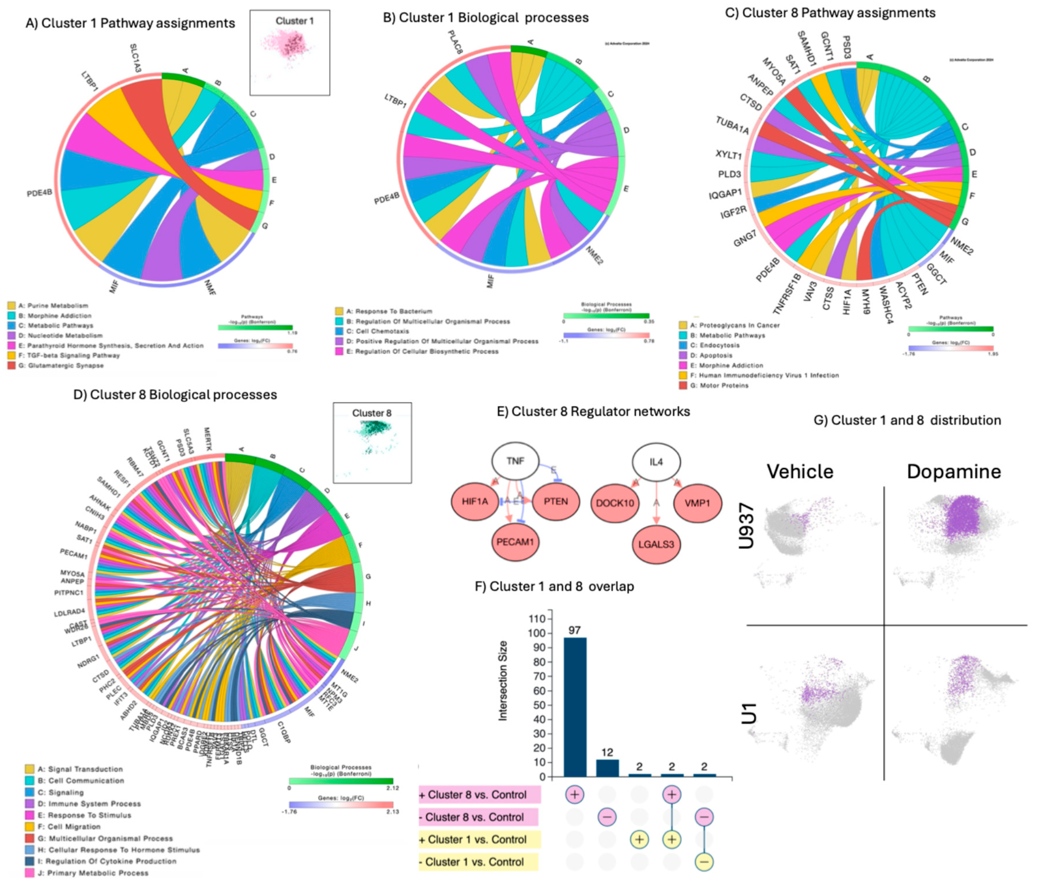 Preprints 163189 g003