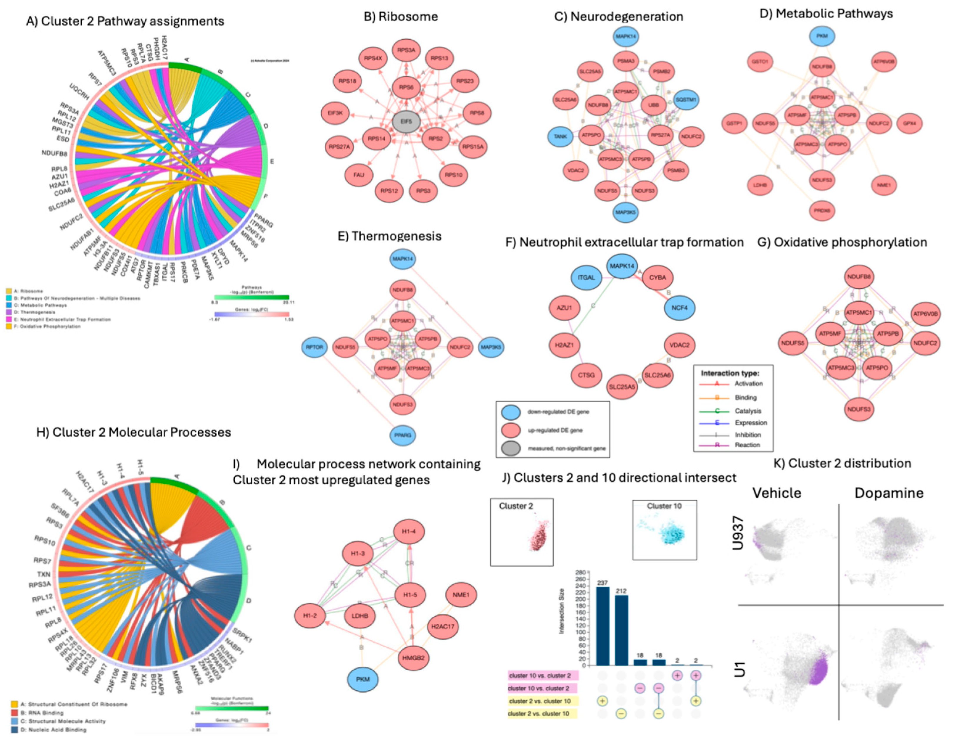 Preprints 163189 g004