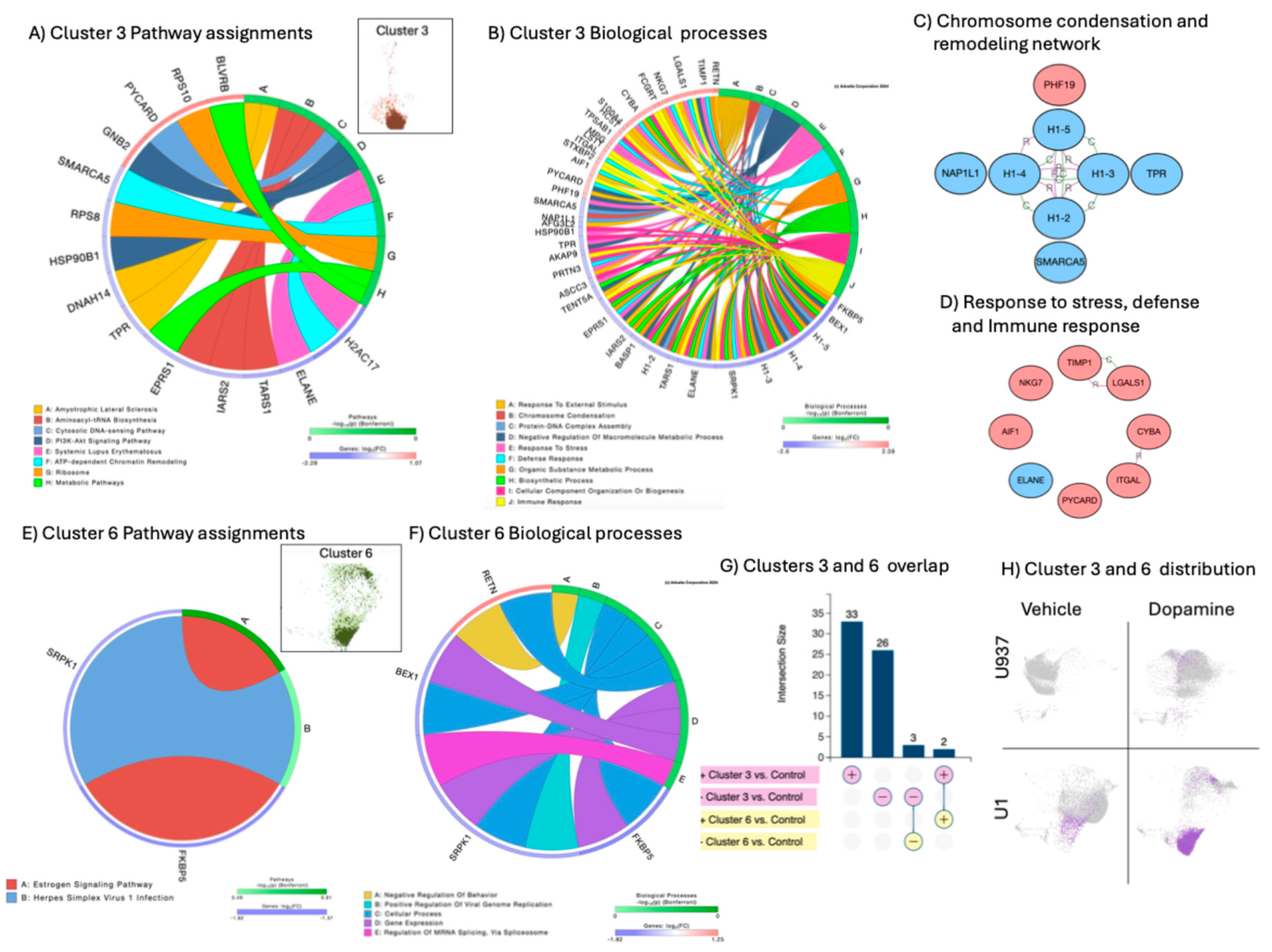 Preprints 163189 g005