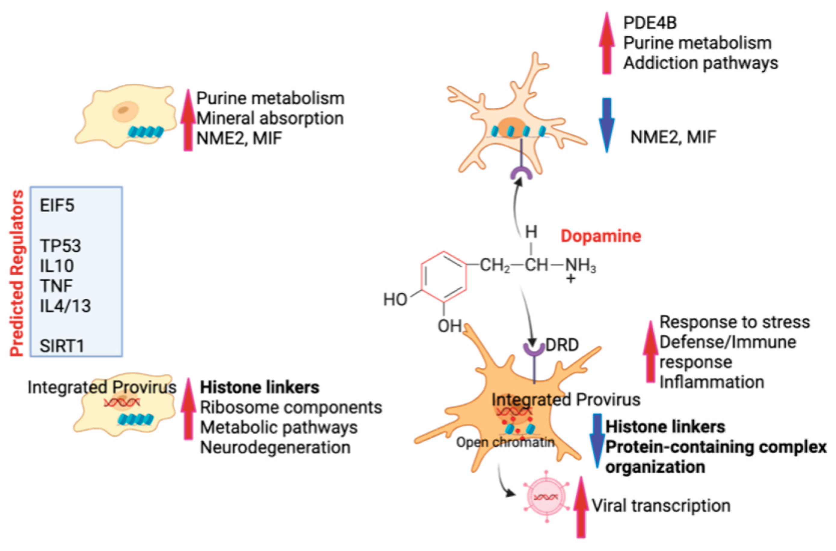 Preprints 163189 g010