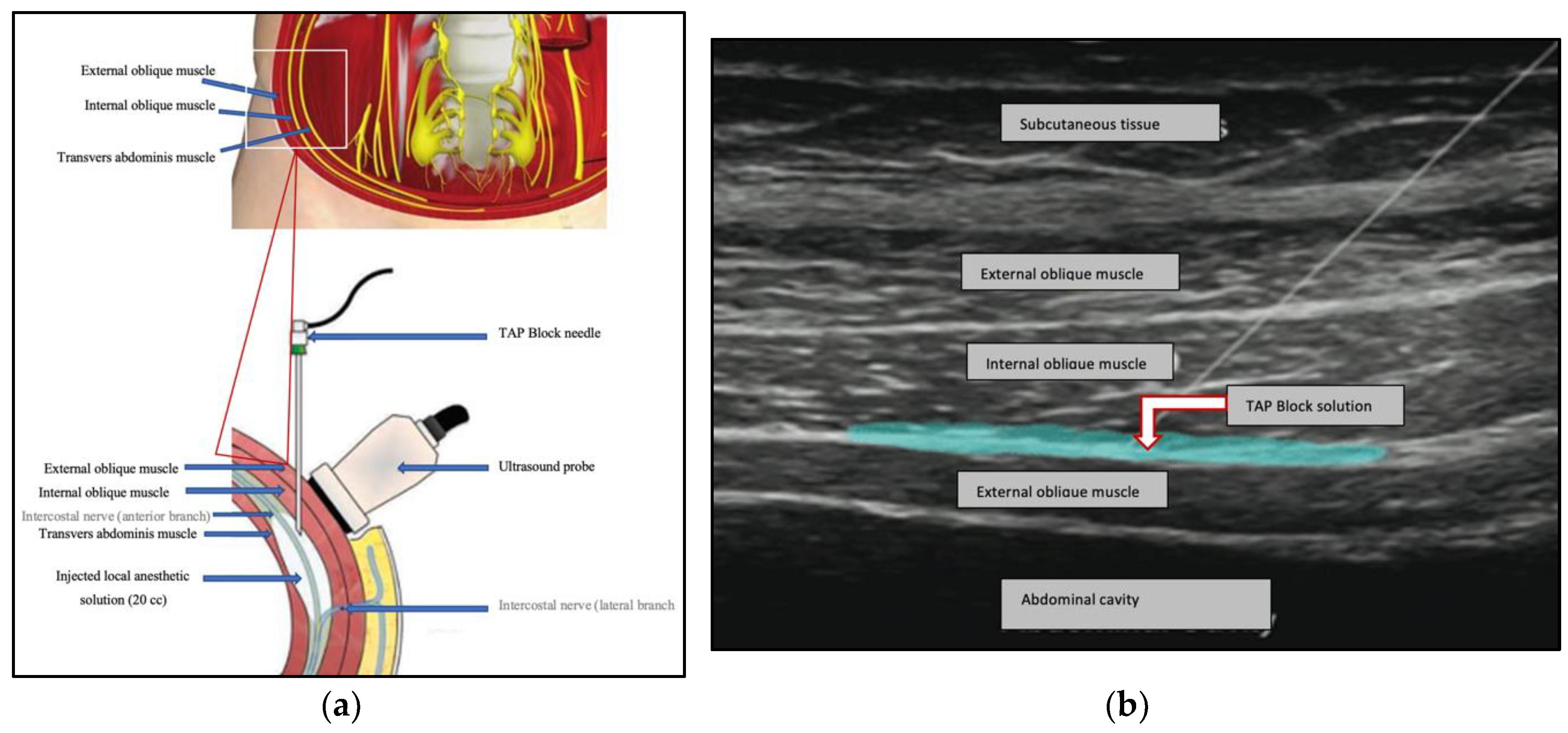 Preprints 107941 g001