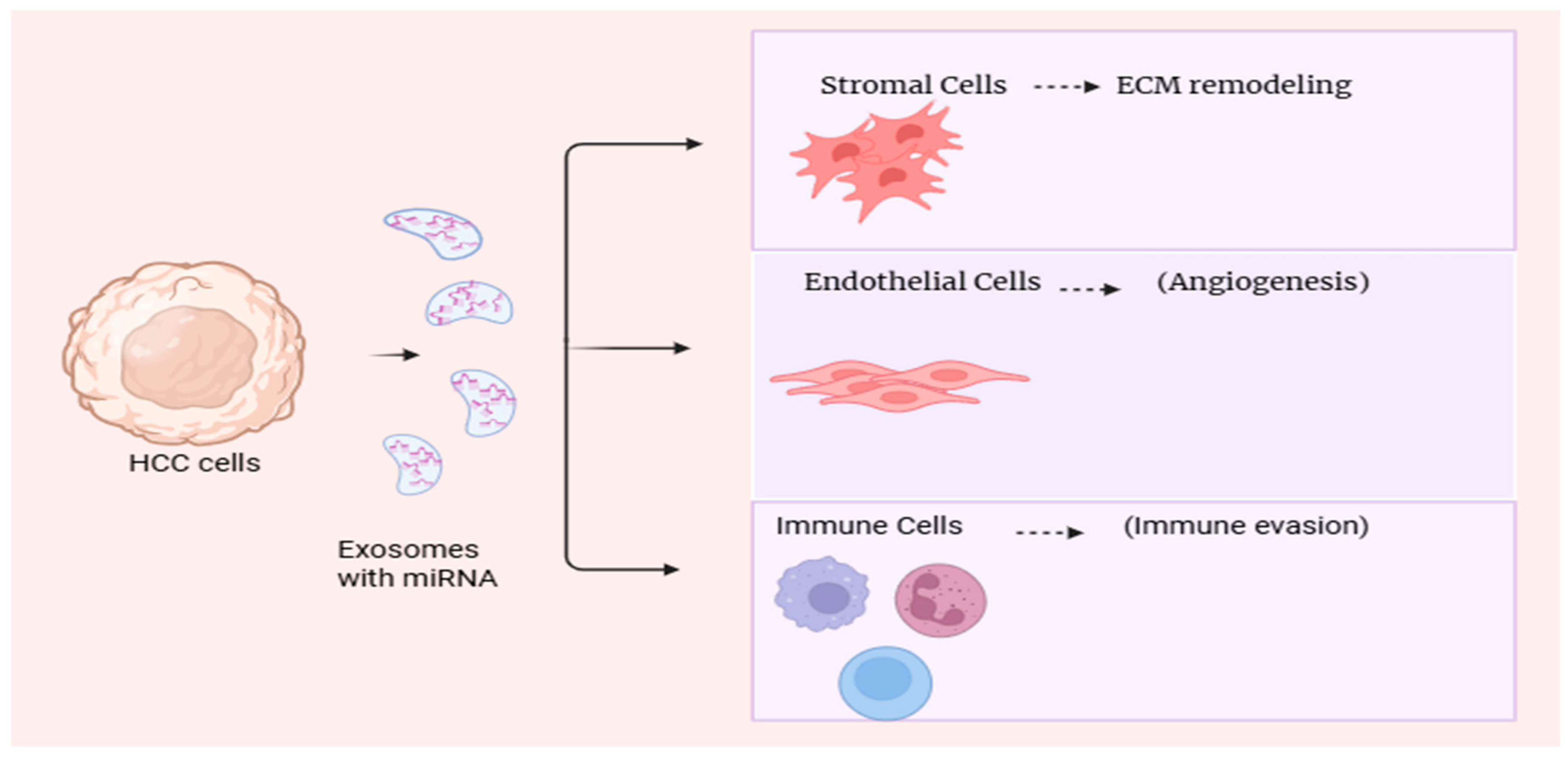 Preprints 180430 g002