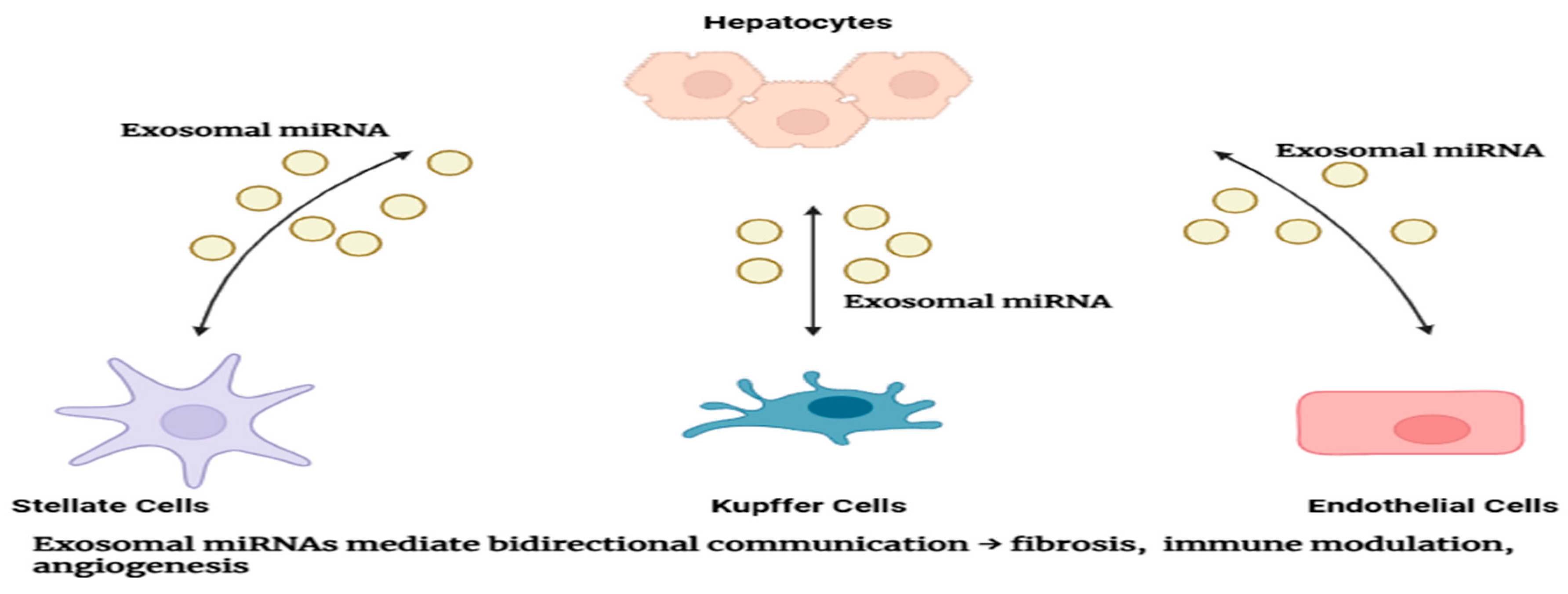 Preprints 180430 g003