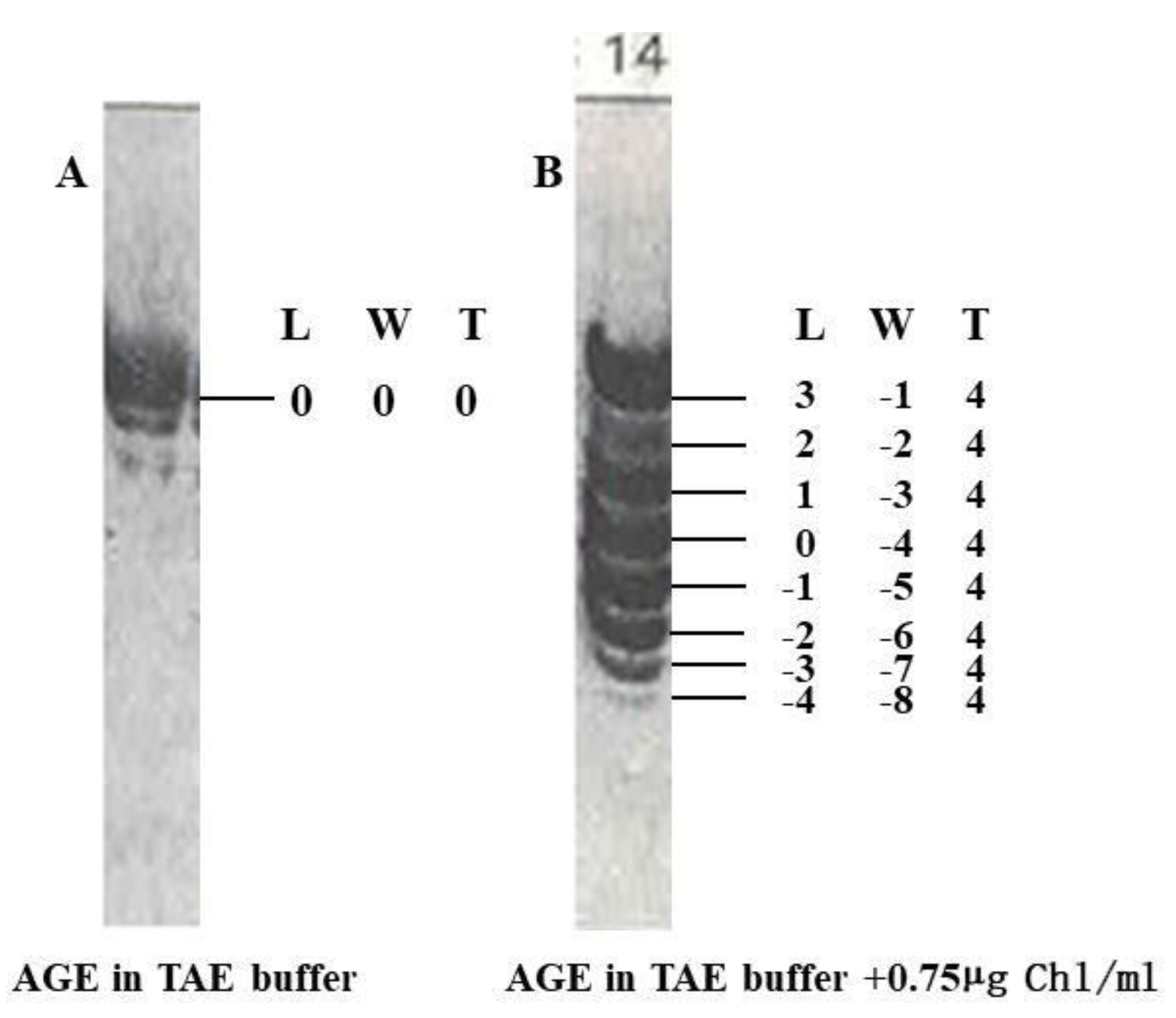 Preprints 154131 g005