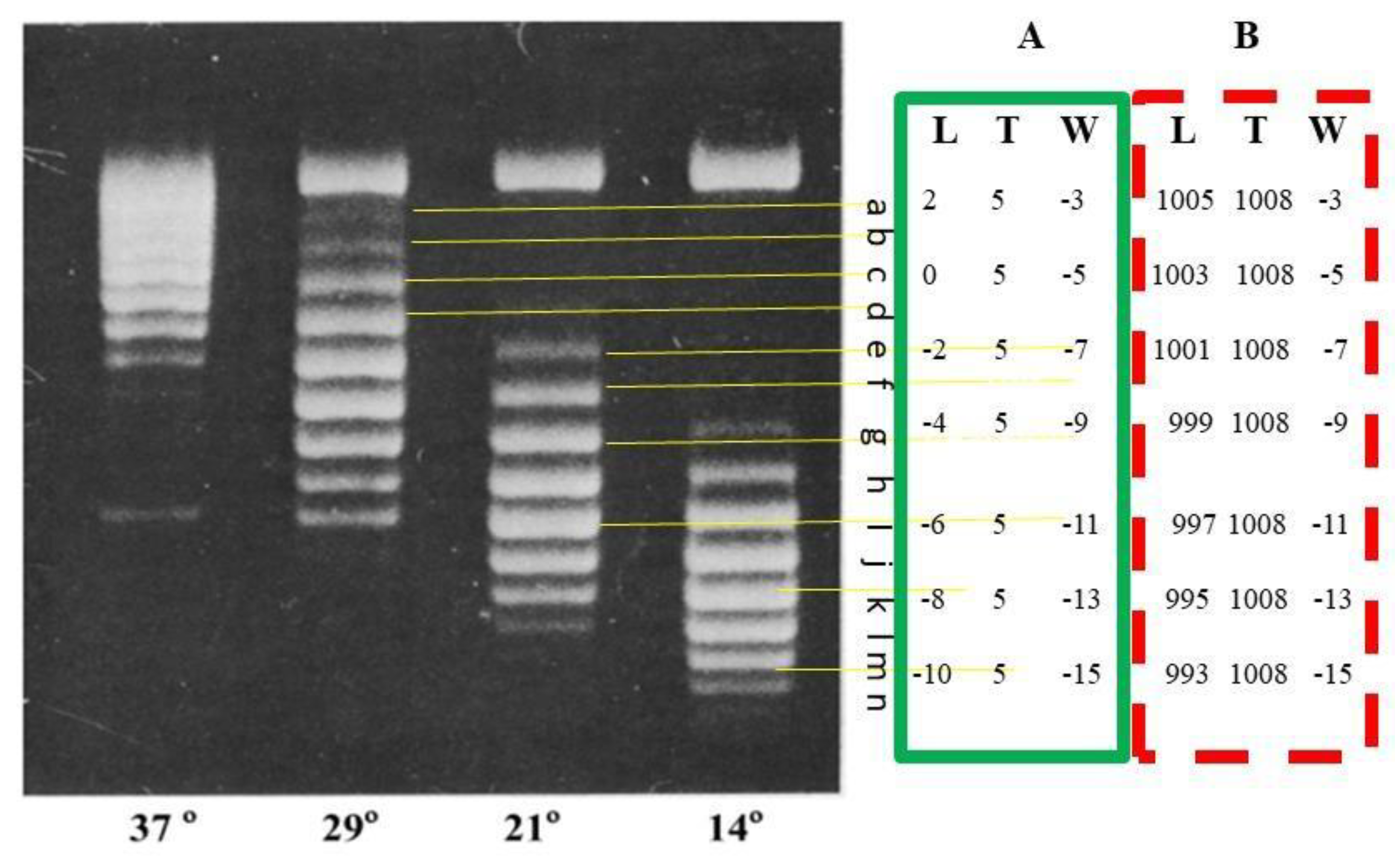 Preprints 154131 g006