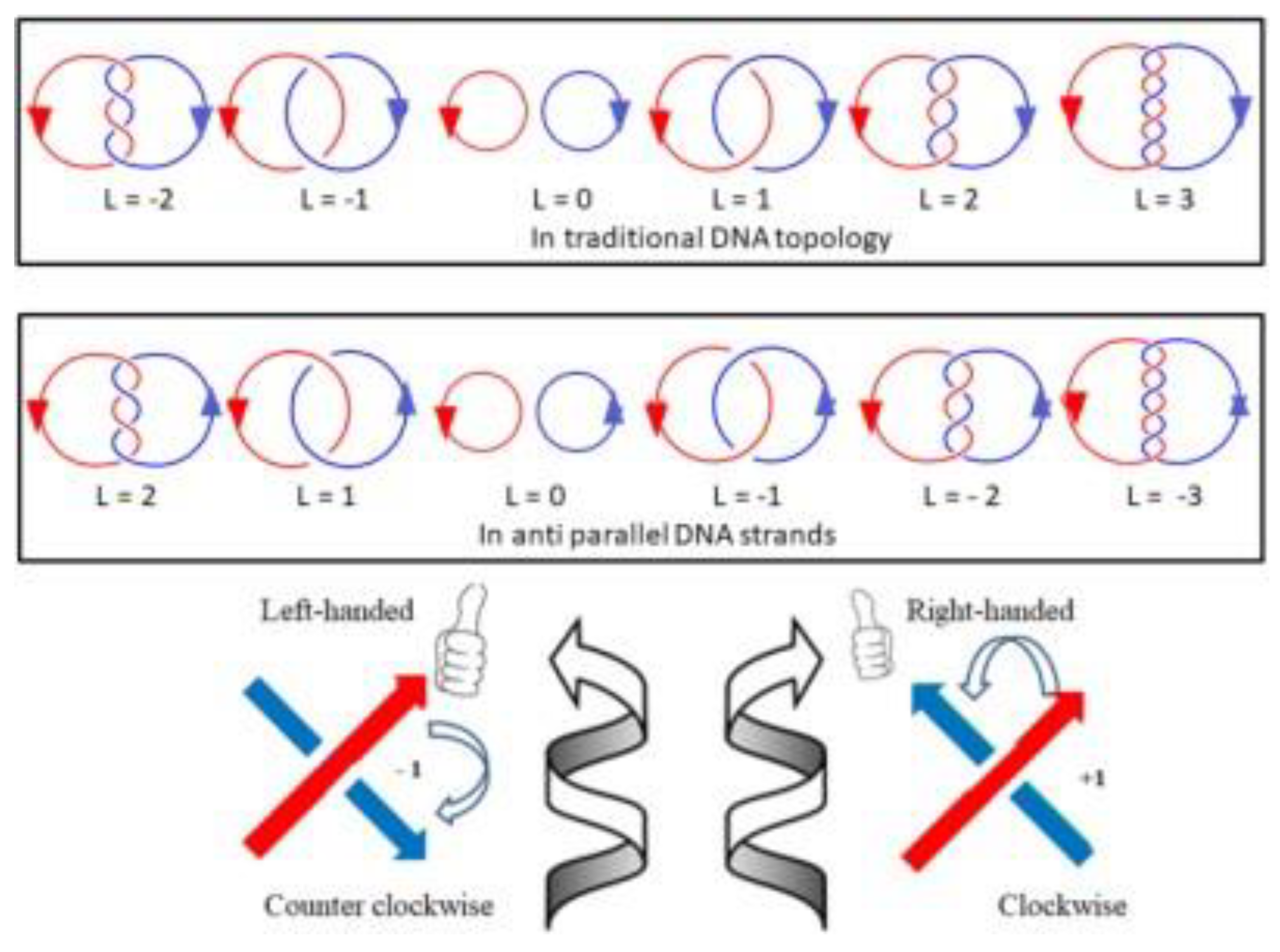 Preprints 154131 g007