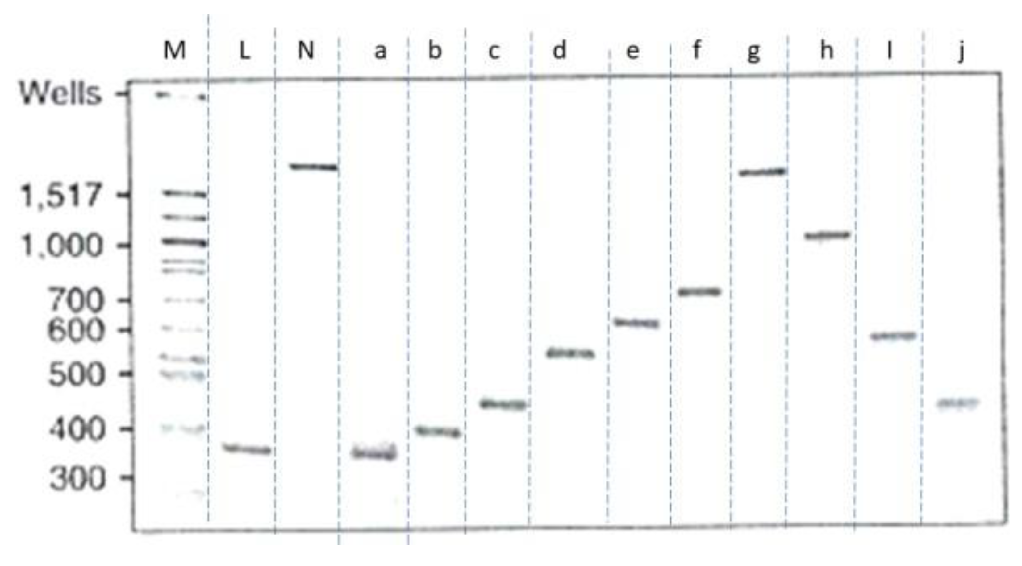 Preprints 154131 g008