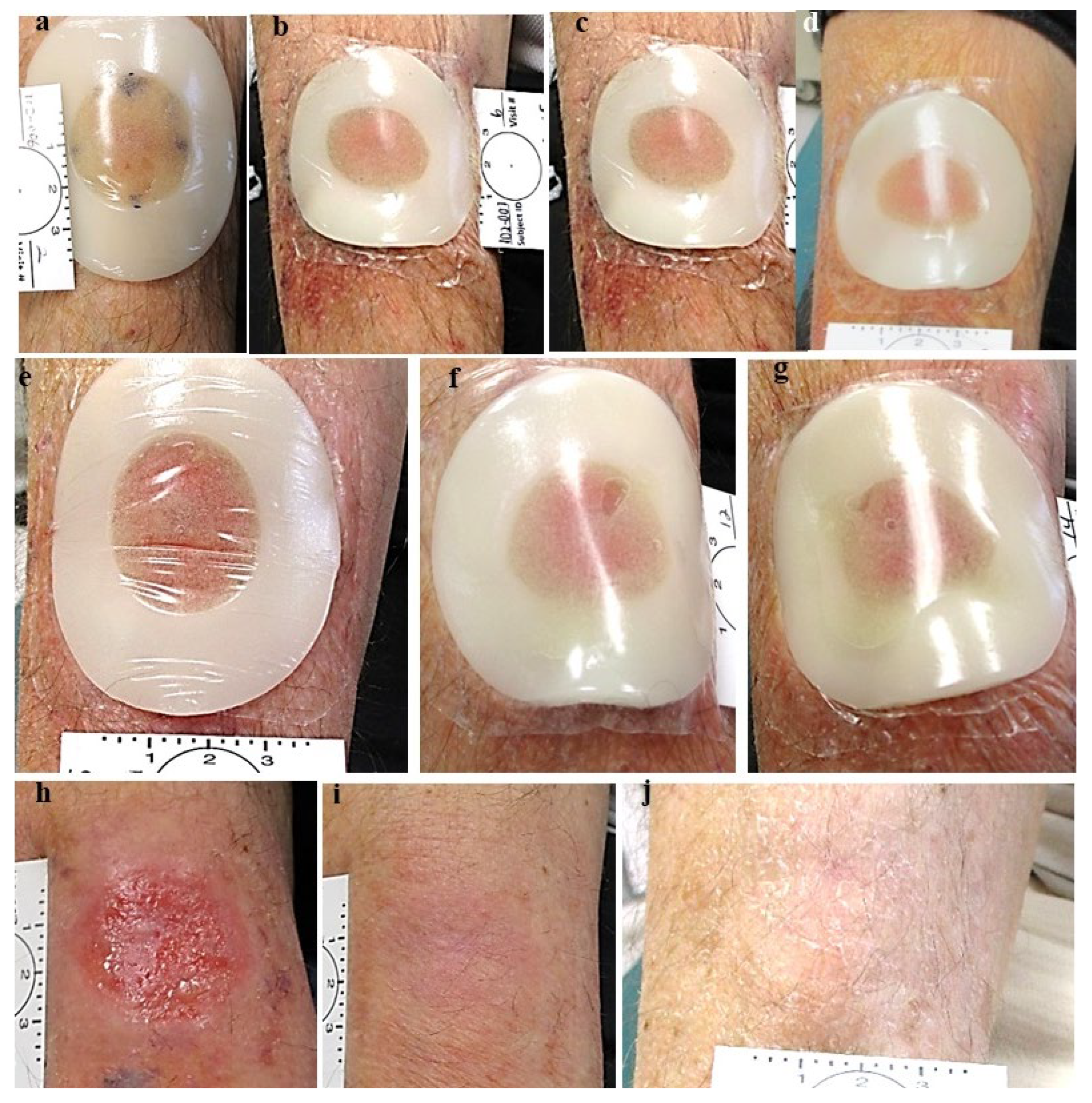 Preprints 119224 g003