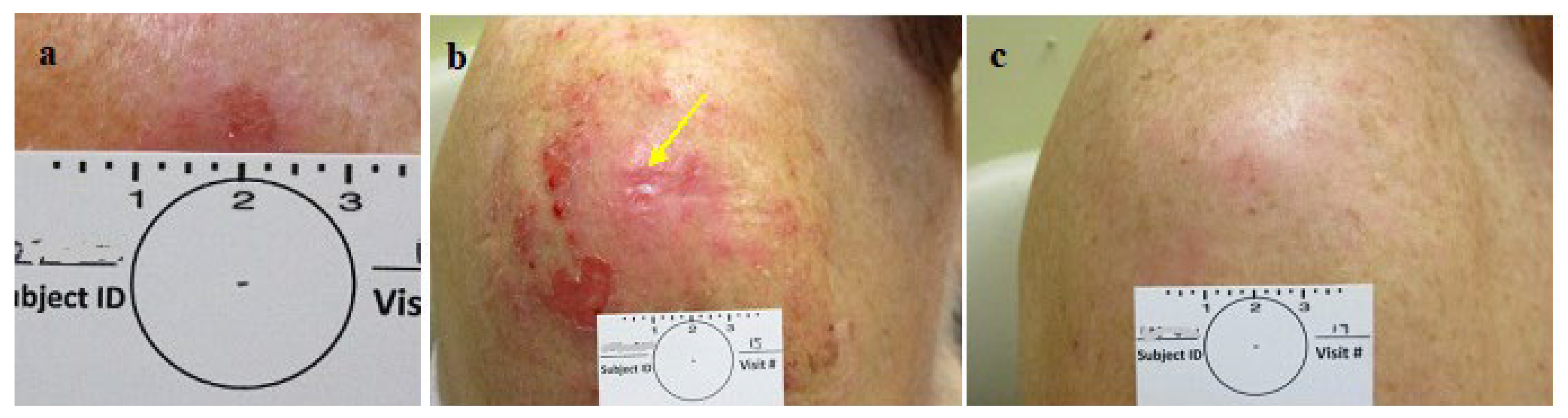 Preprints 119224 g004