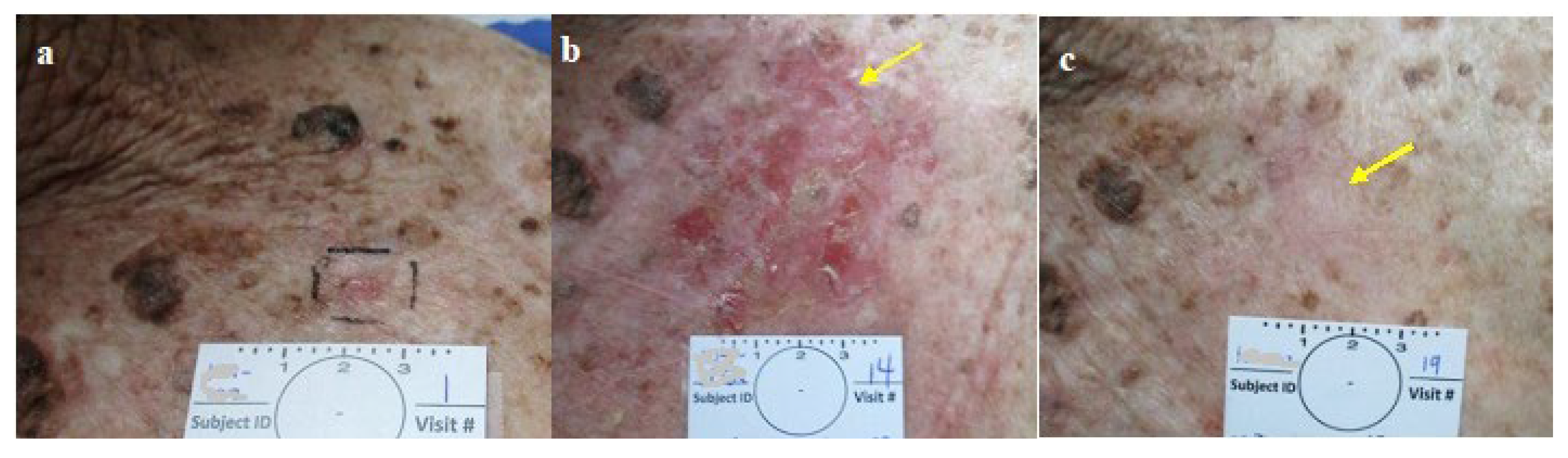 Preprints 119224 g005