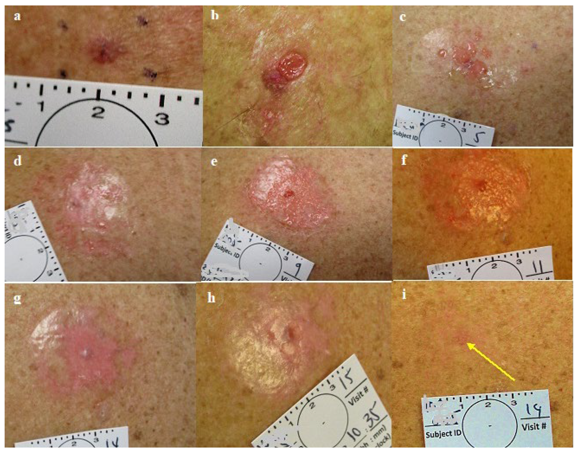 Preprints 119224 g006