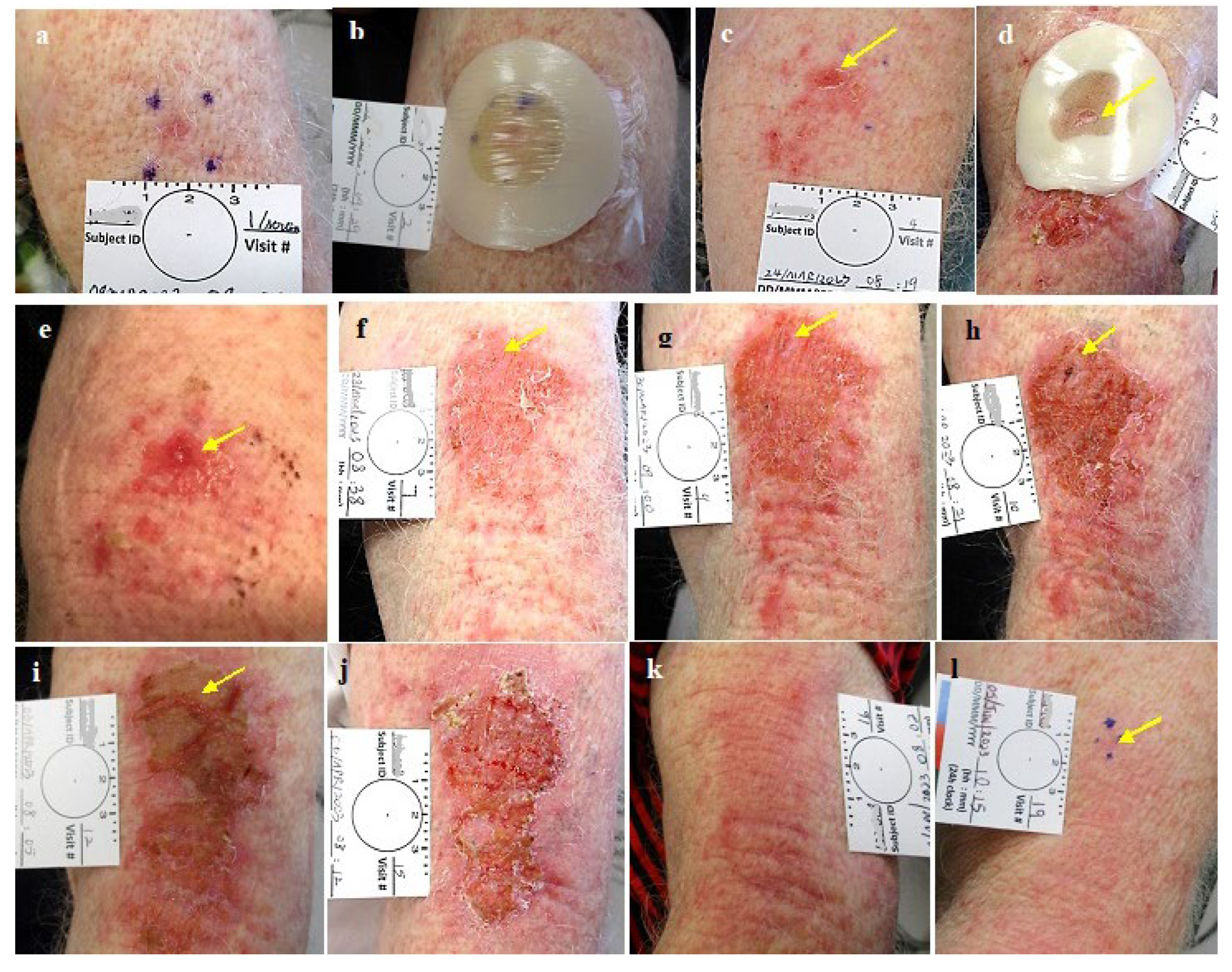 Preprints 119224 g007