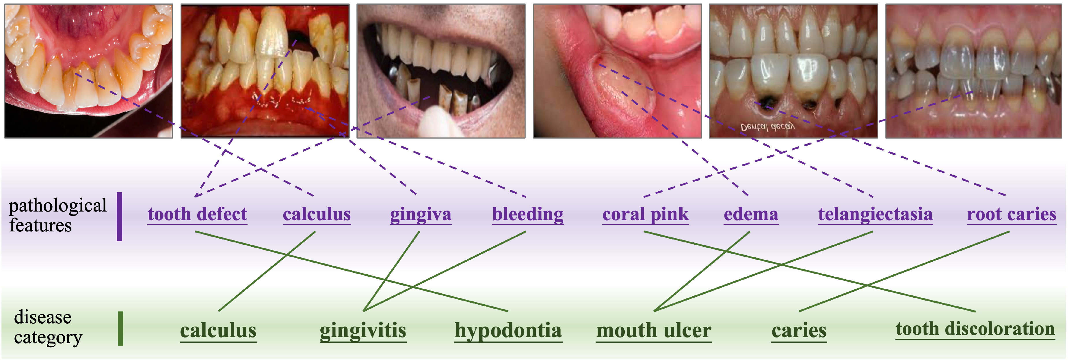 Preprints 154012 g001
