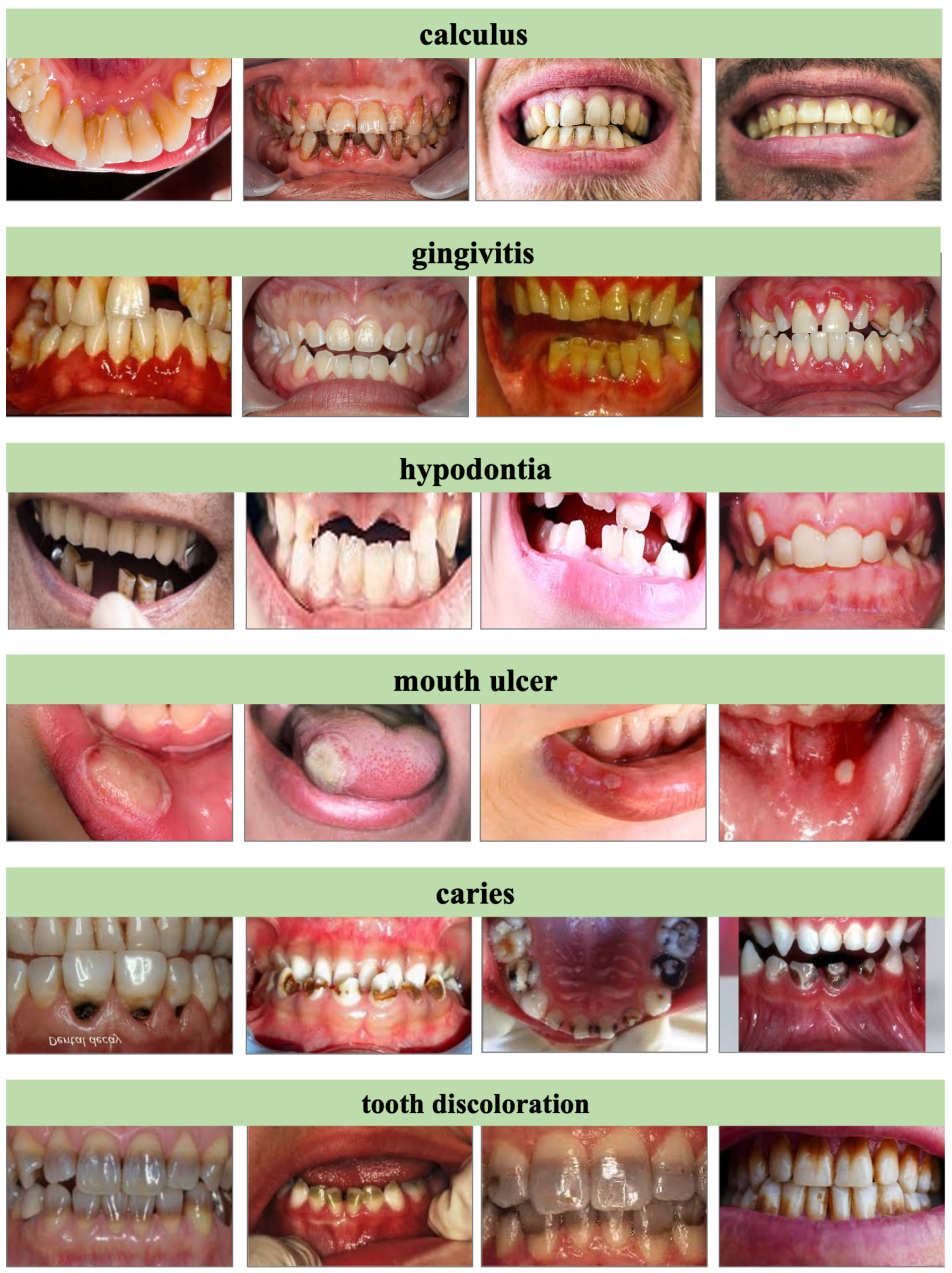Preprints 154012 g003