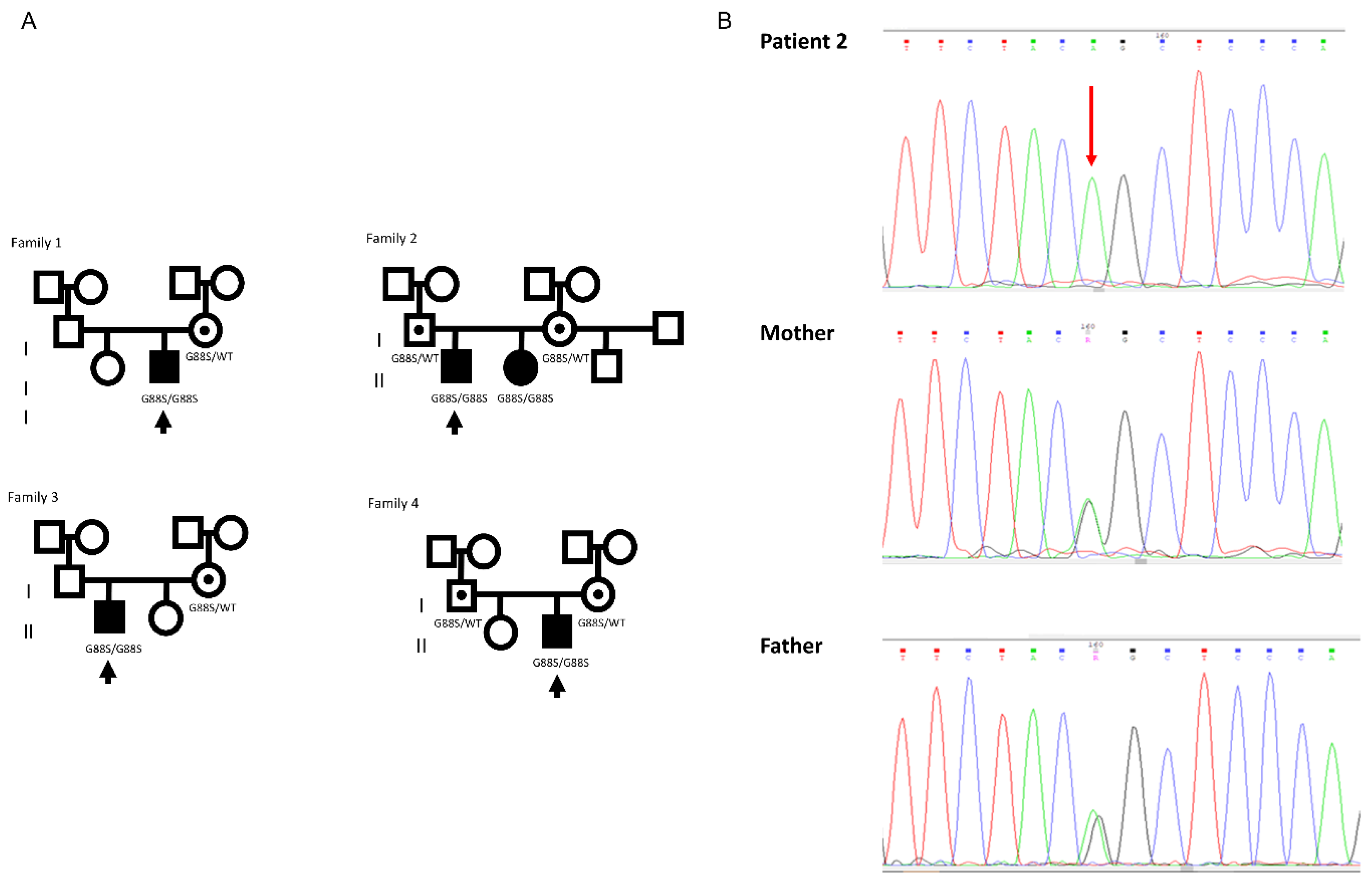 Preprints 179568 g002