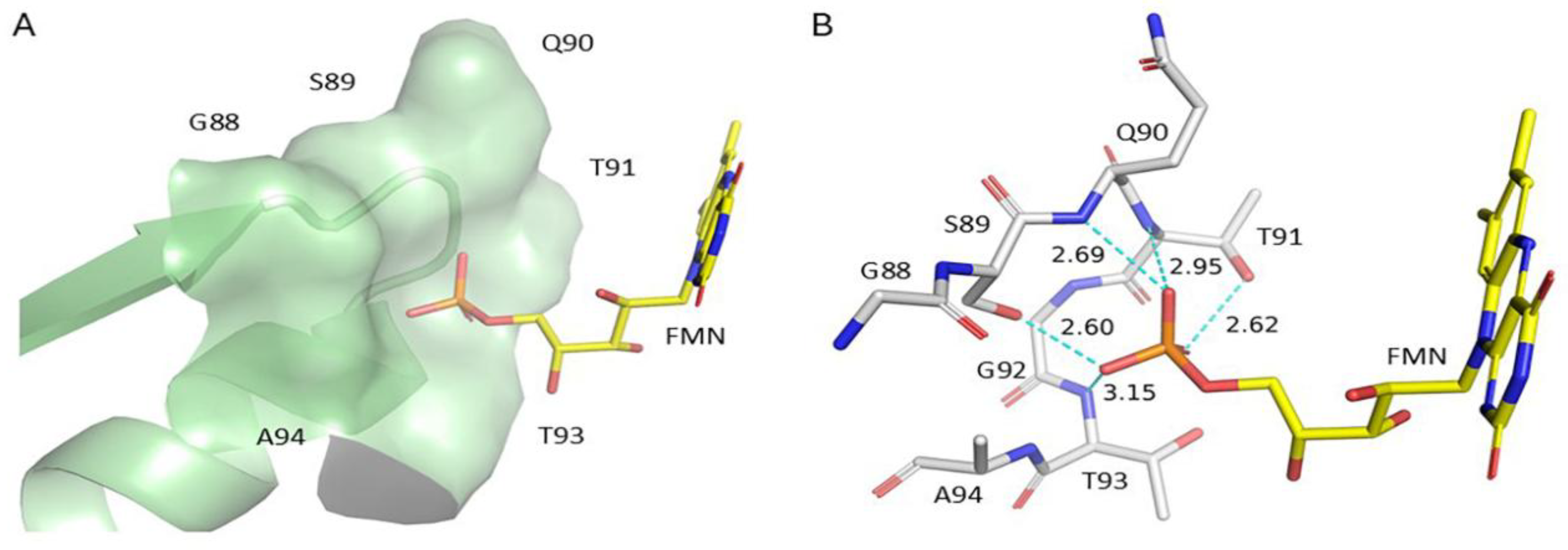 Preprints 179568 g004