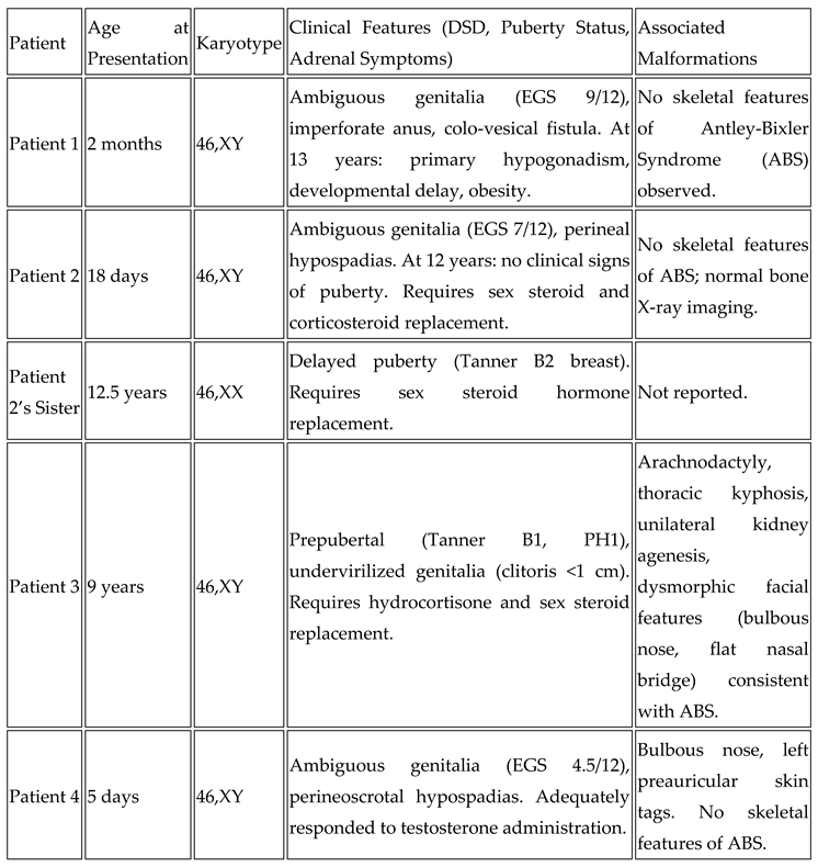 Preprints 179568 i001