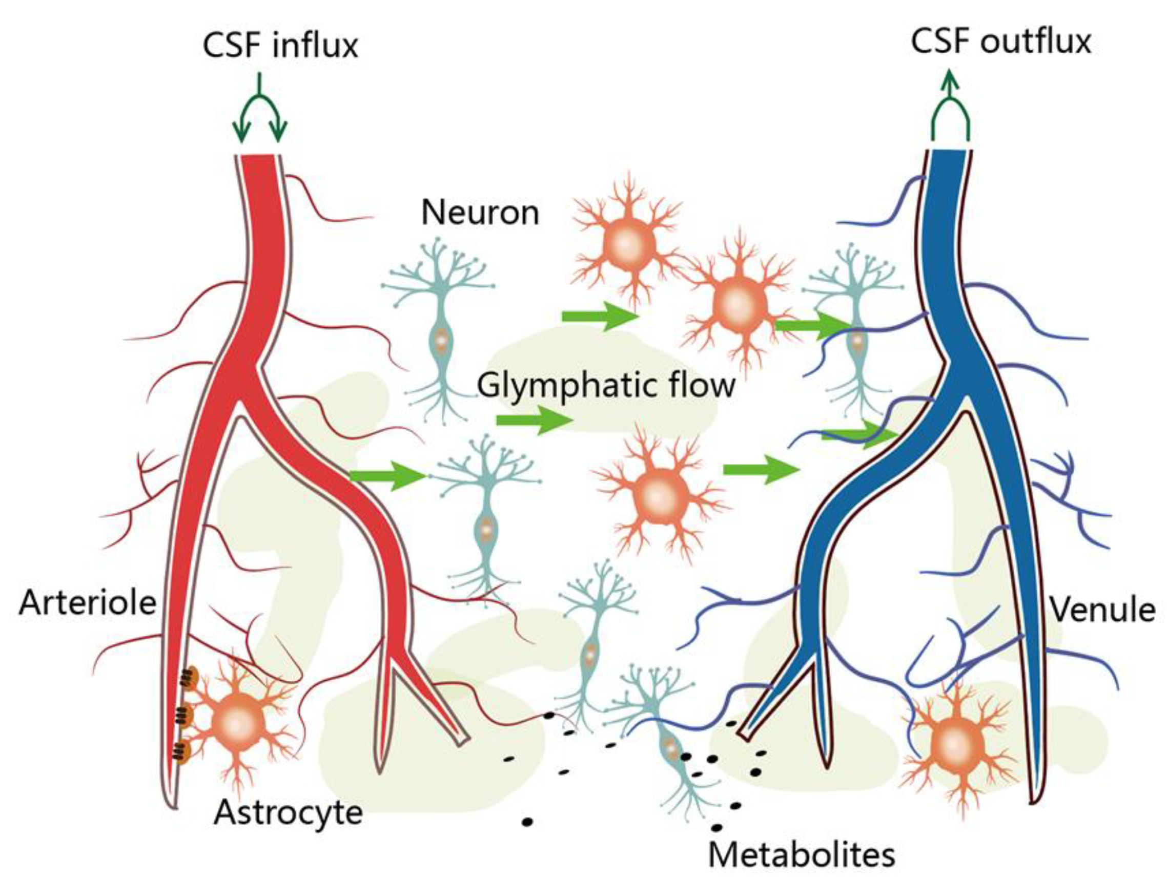 Preprints 149549 g002