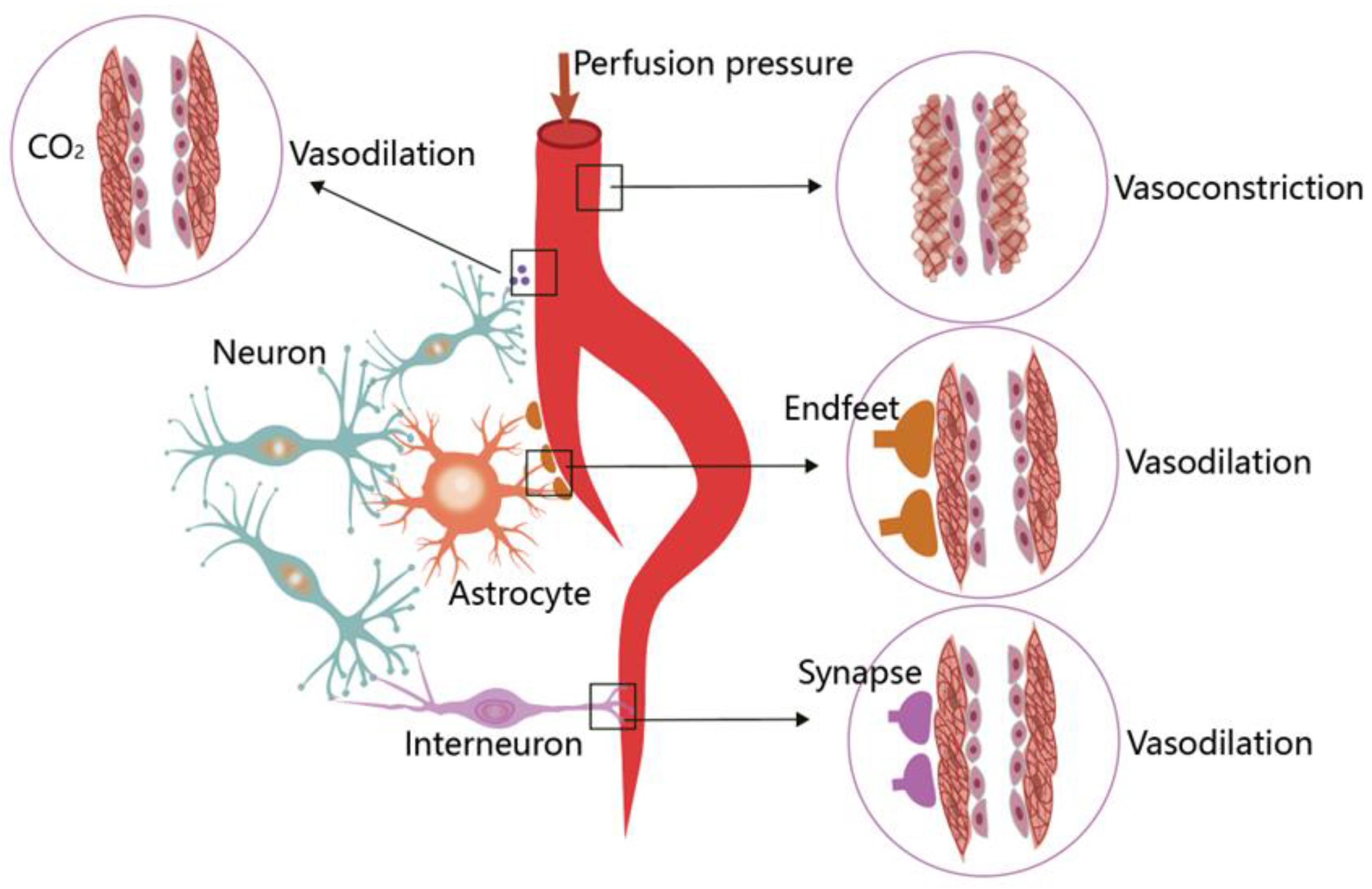Preprints 149549 g003