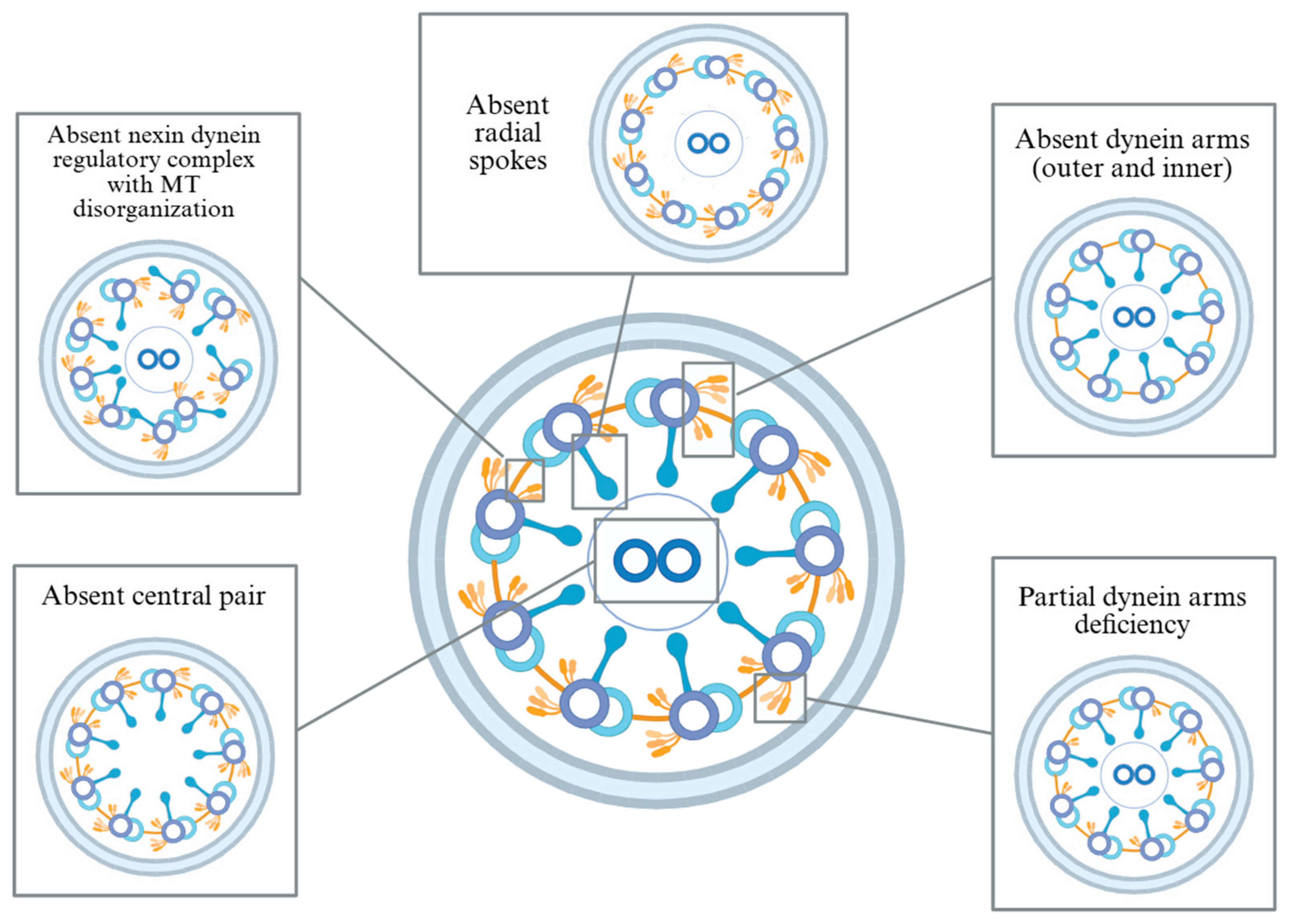 Preprints 188758 g001