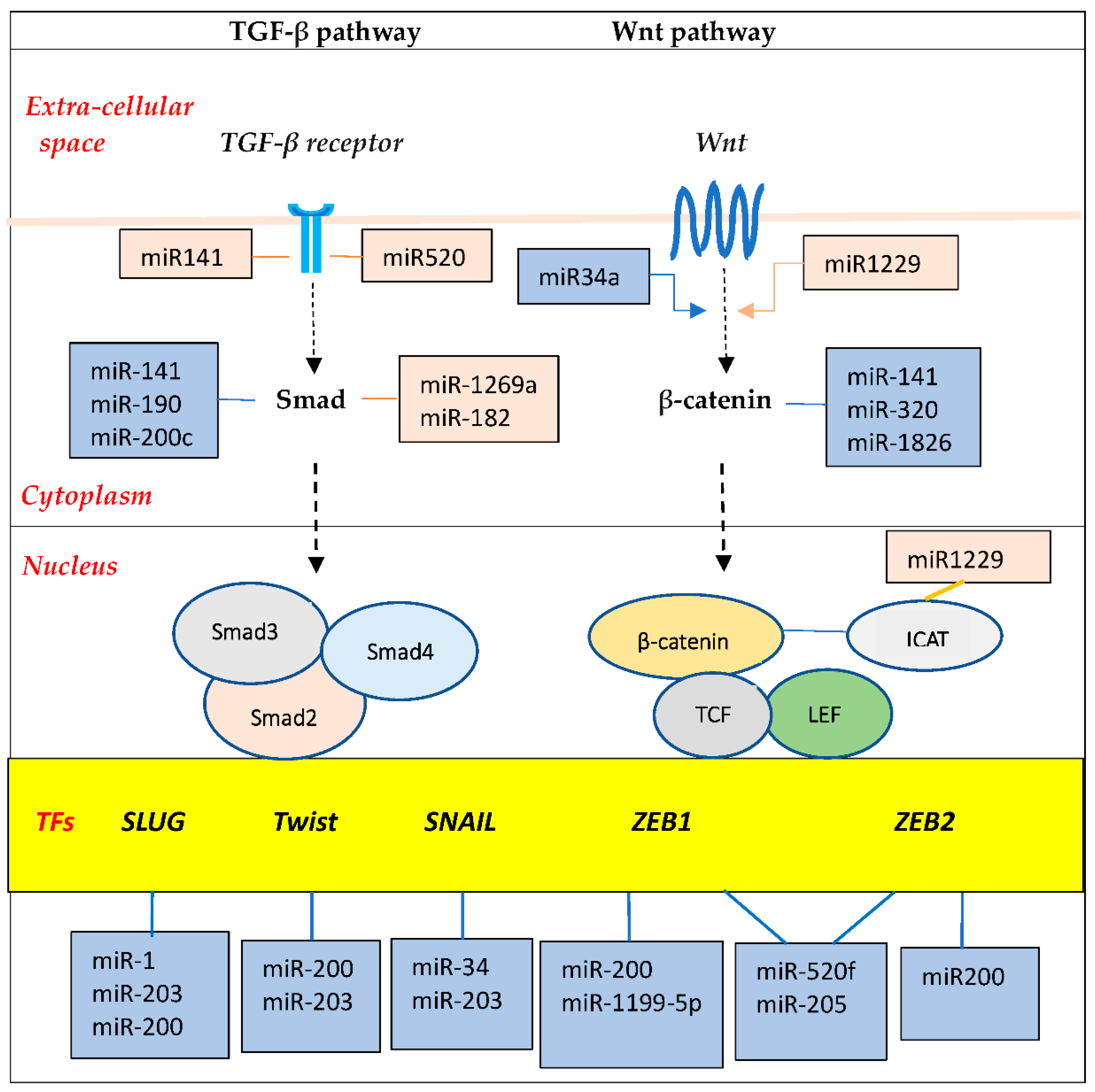 Preprints 196376 g005