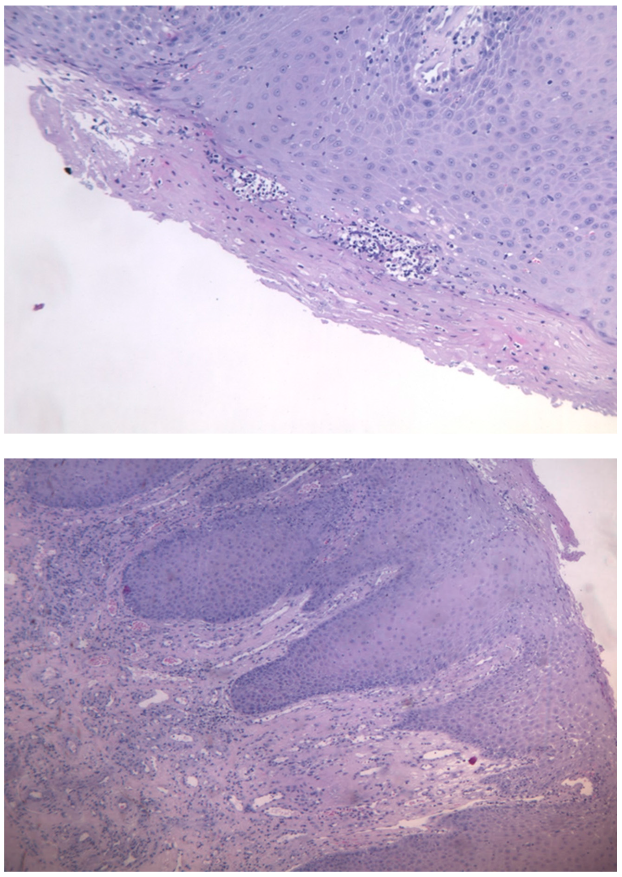 Preprints 151864 g003