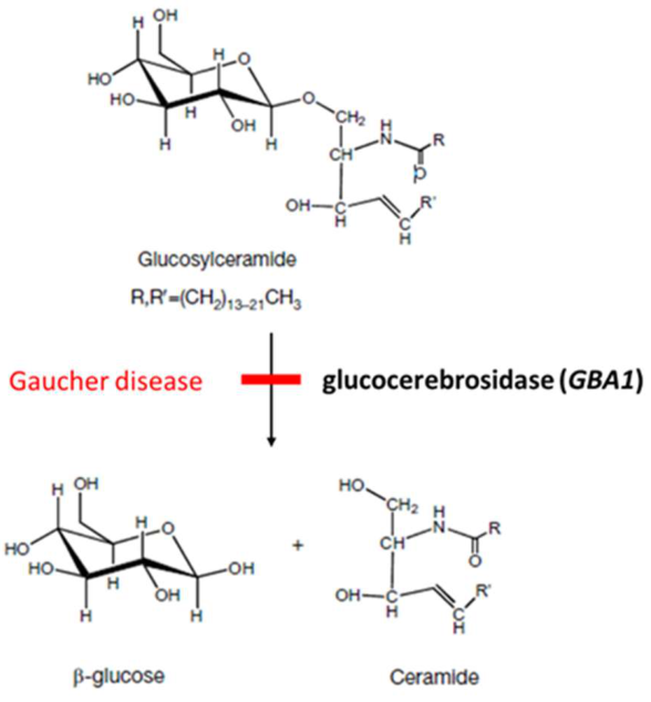 Preprints 216469 g002
