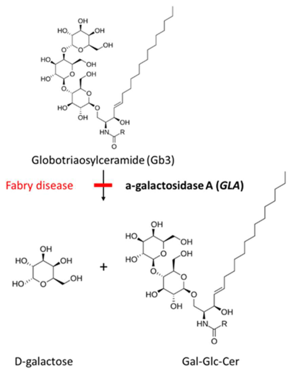 Preprints 216469 g005