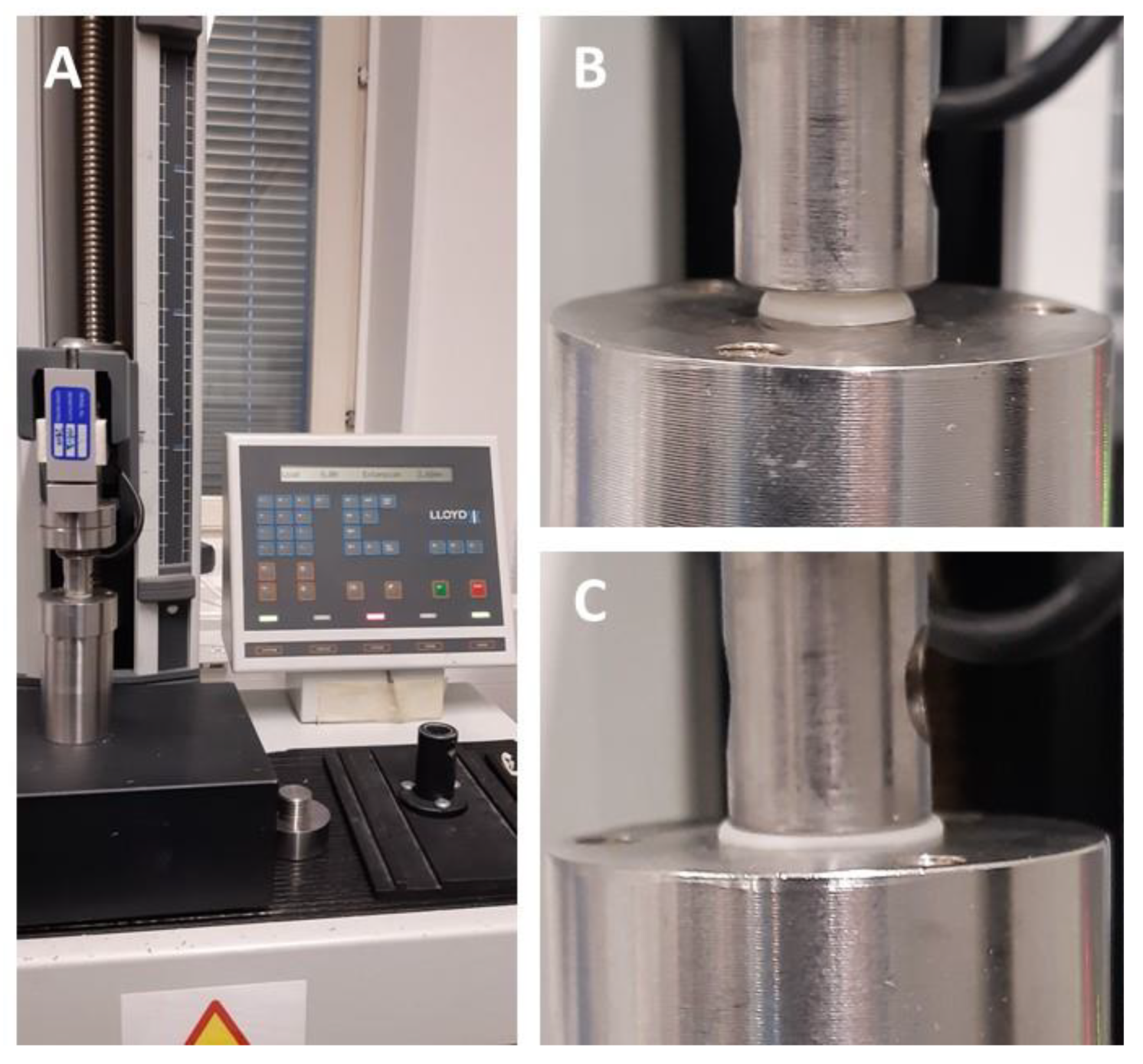 Preprints 154817 g004