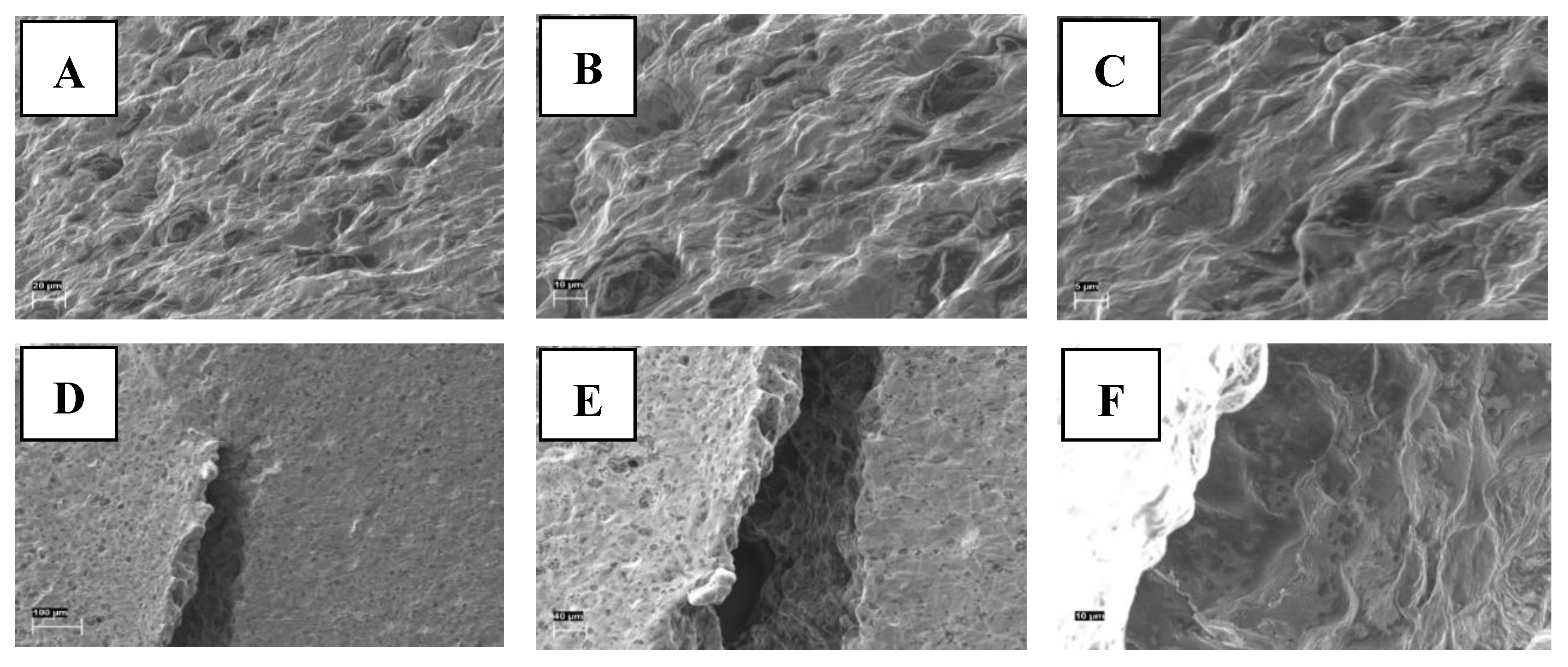 Preprints 154817 g007