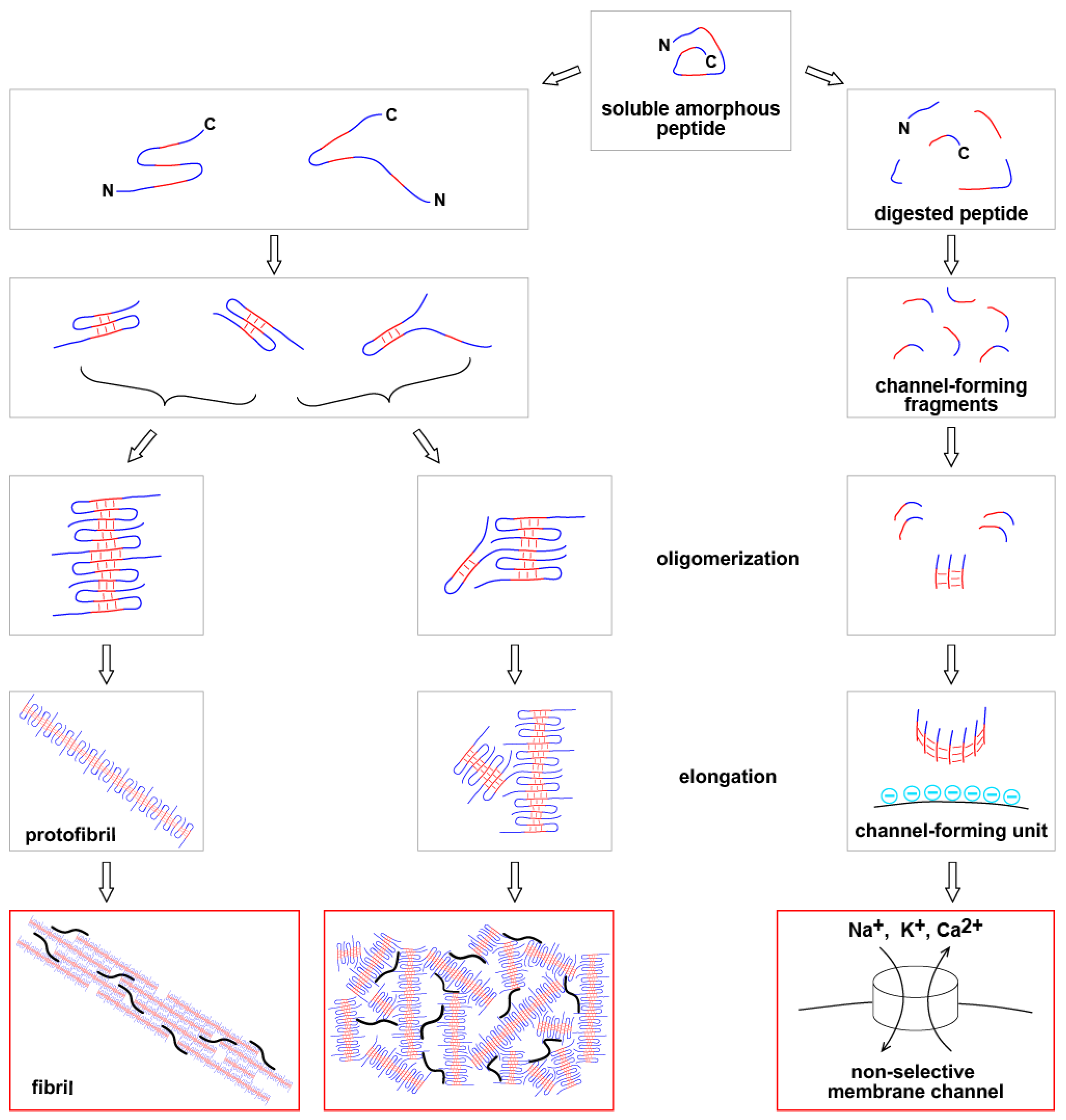 Preprints 76040 g001
