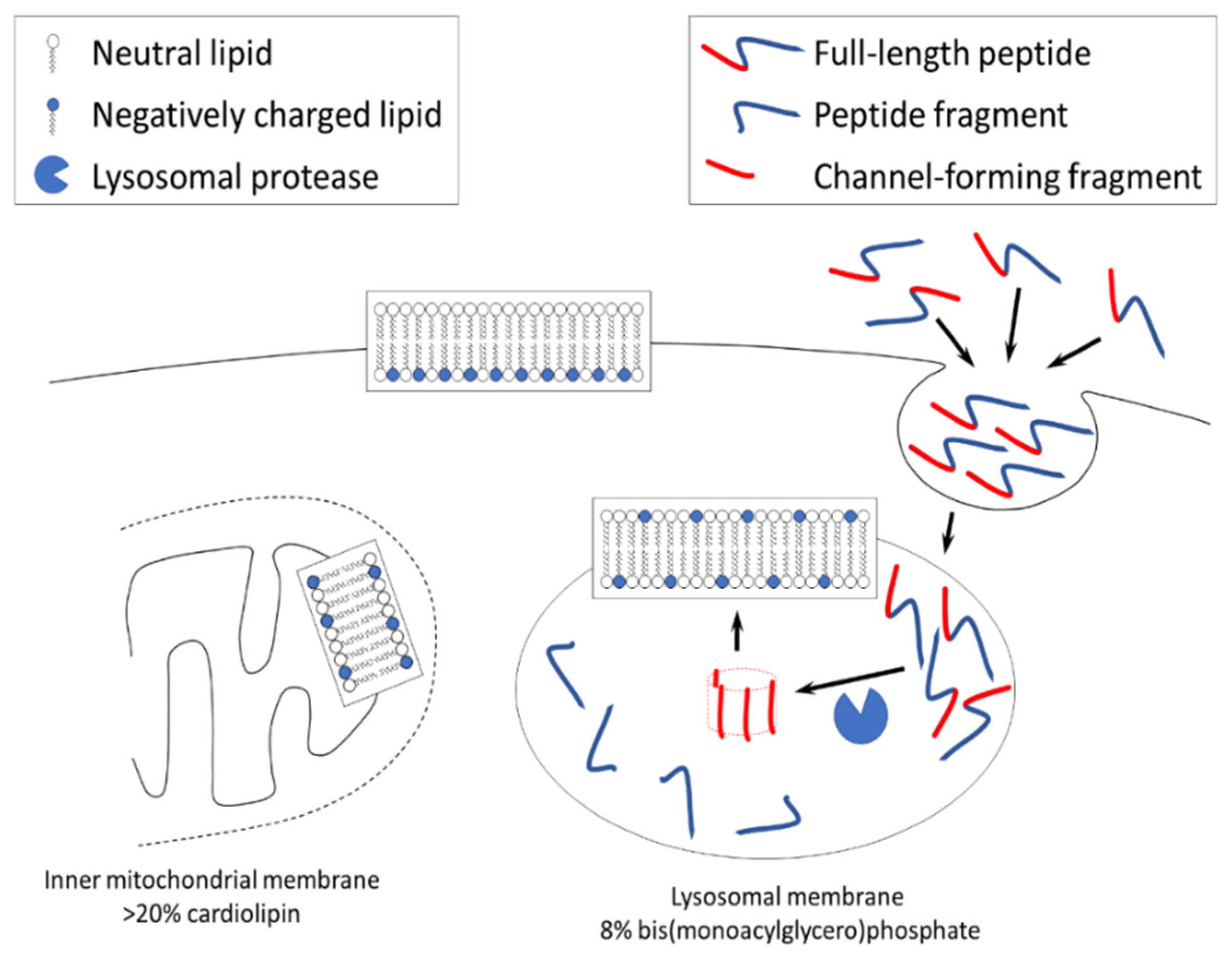Preprints 76040 g002