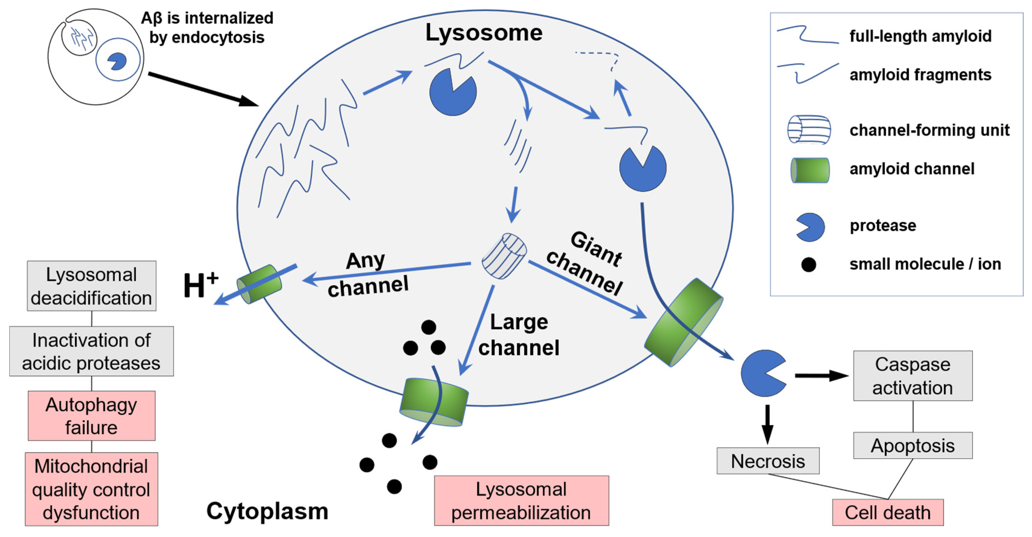 Preprints 76040 g003