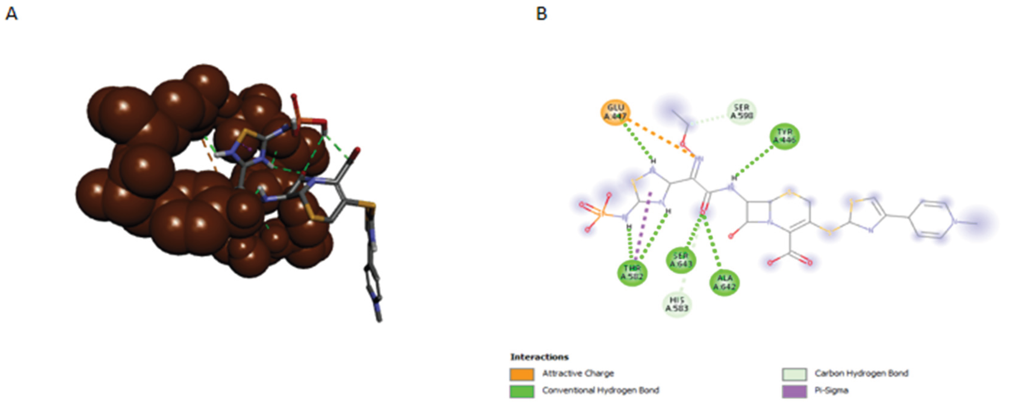 Preprints 205334 g004