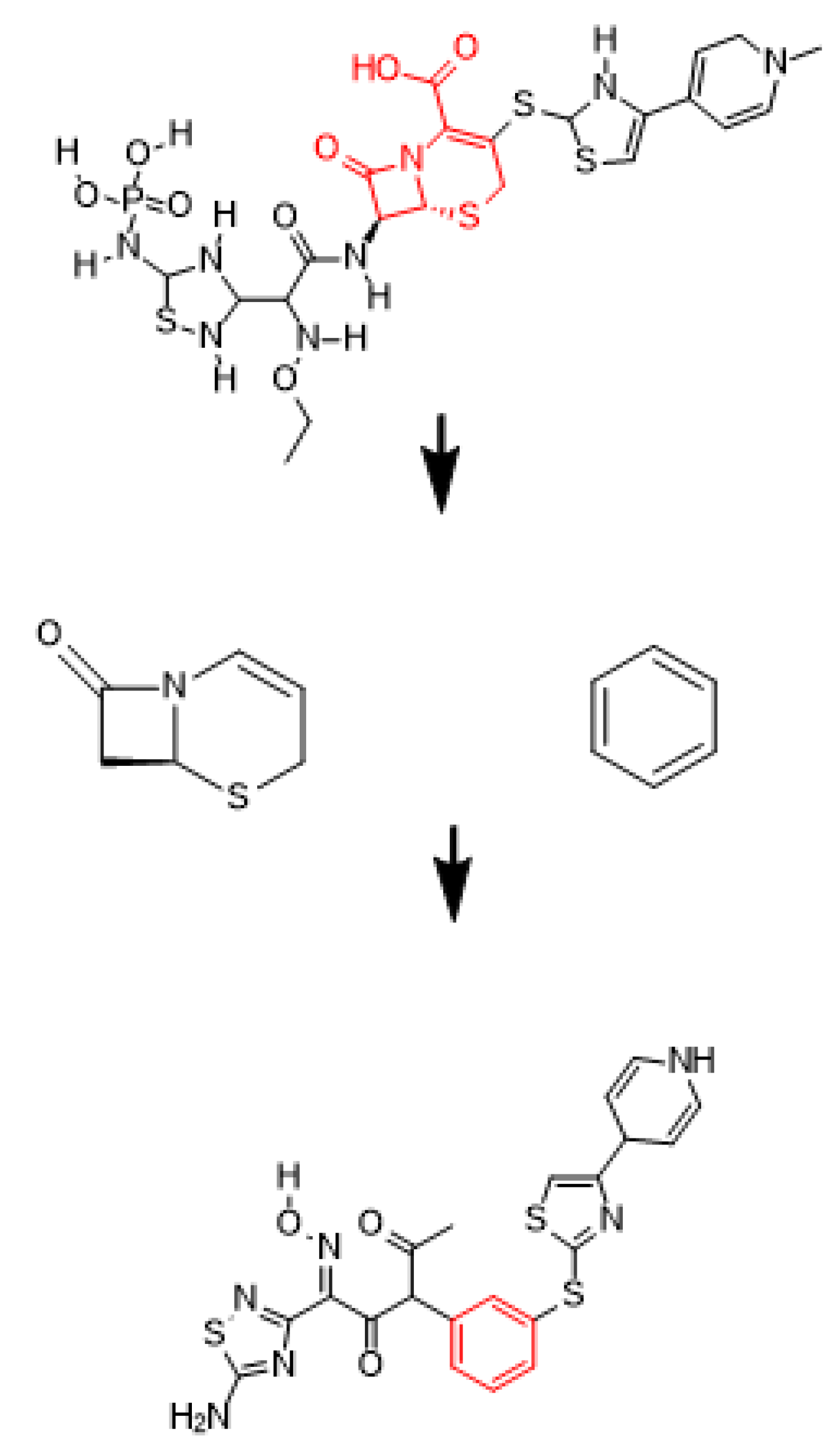 Preprints 205334 g005