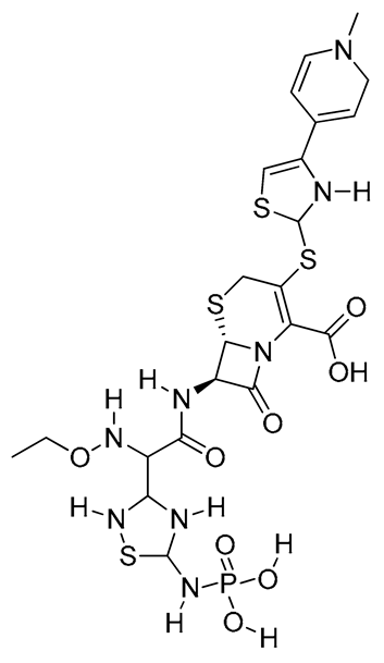 Preprints 205334 i001