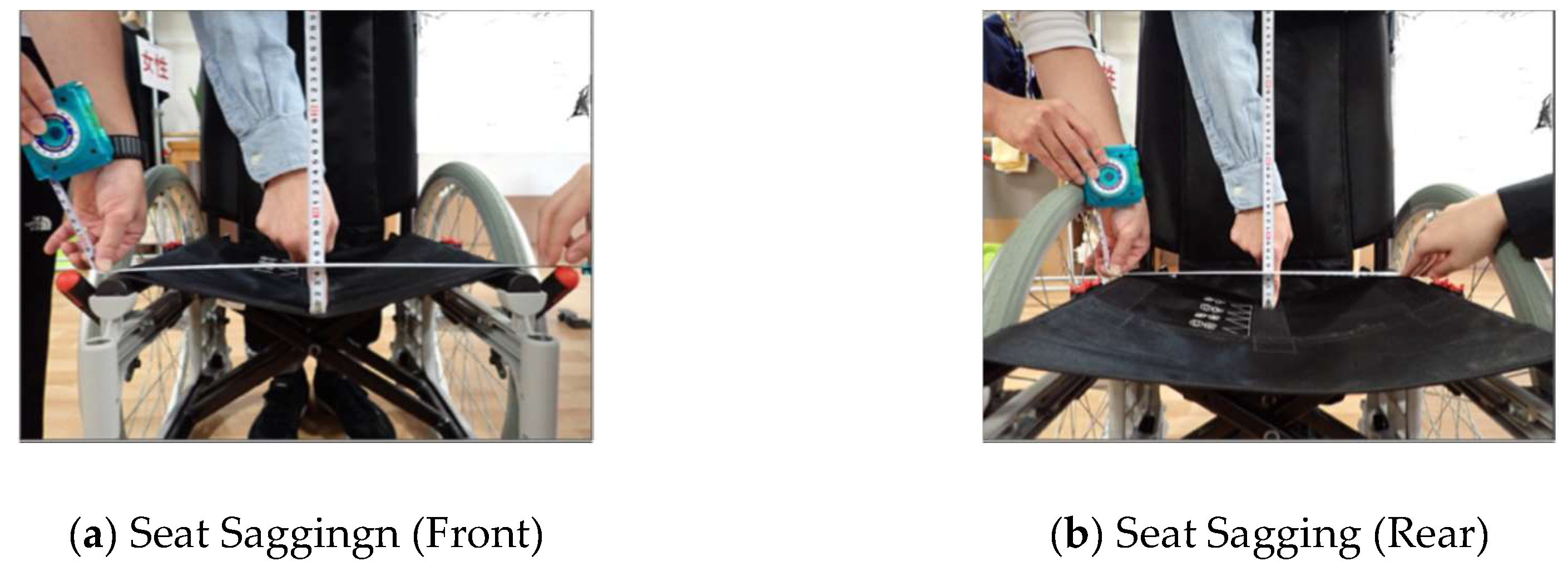 Preprints 150542 g001