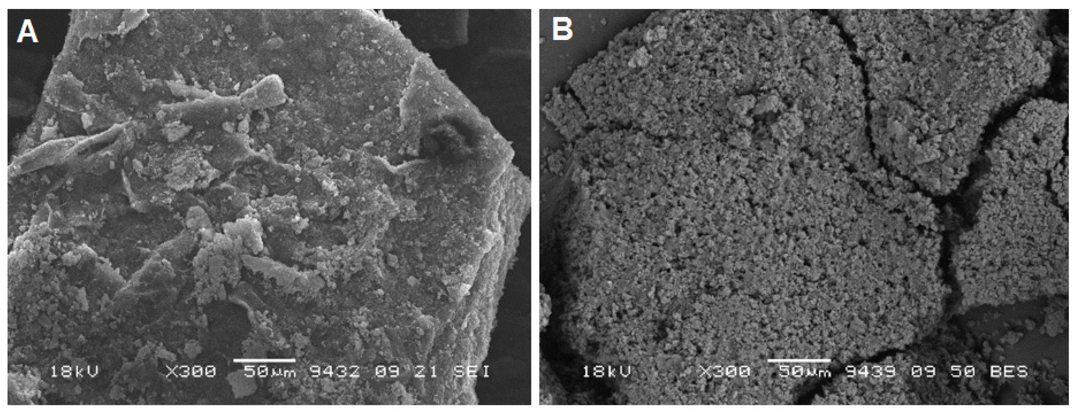 Preprints 78741 g003