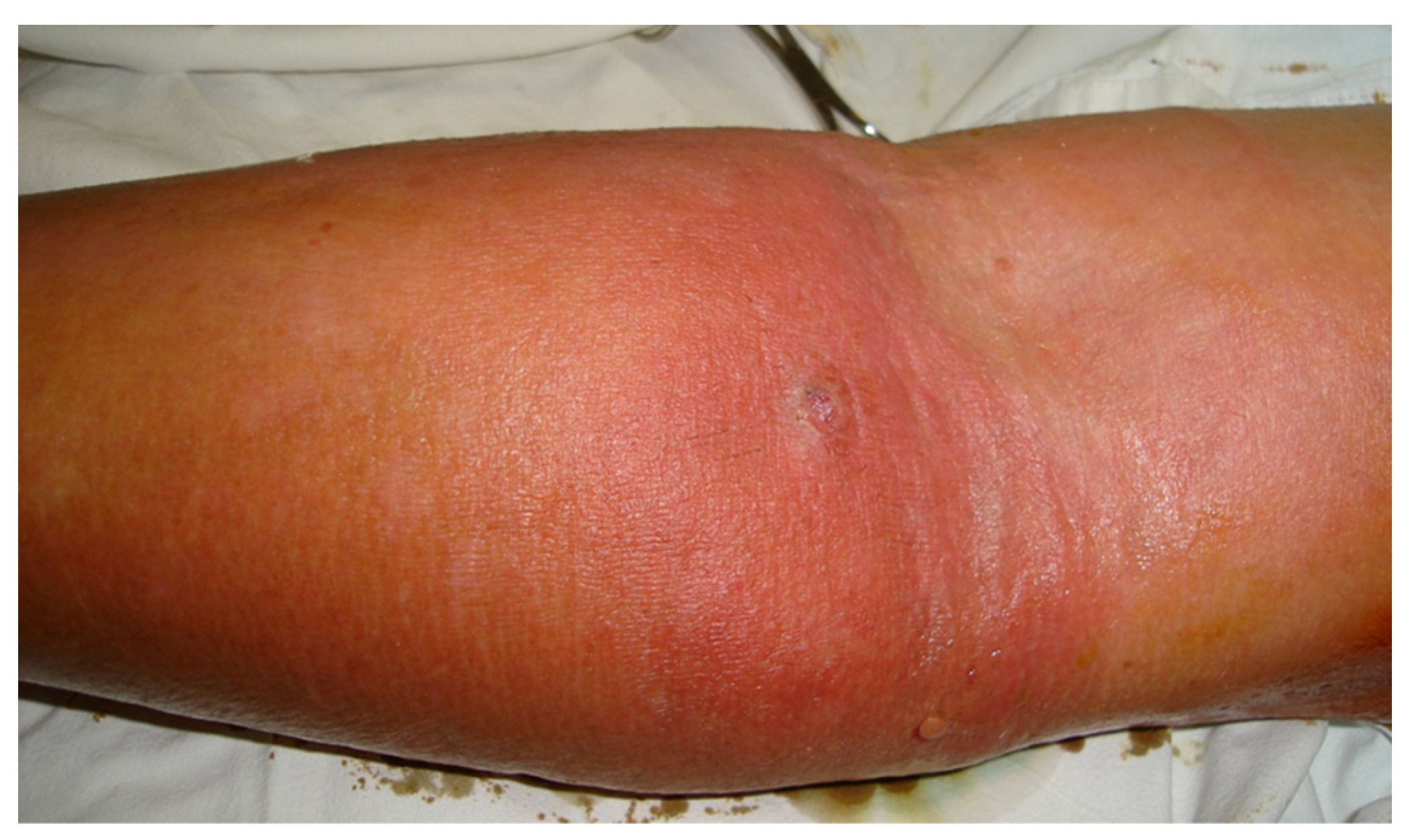 Preprints 154387 g002