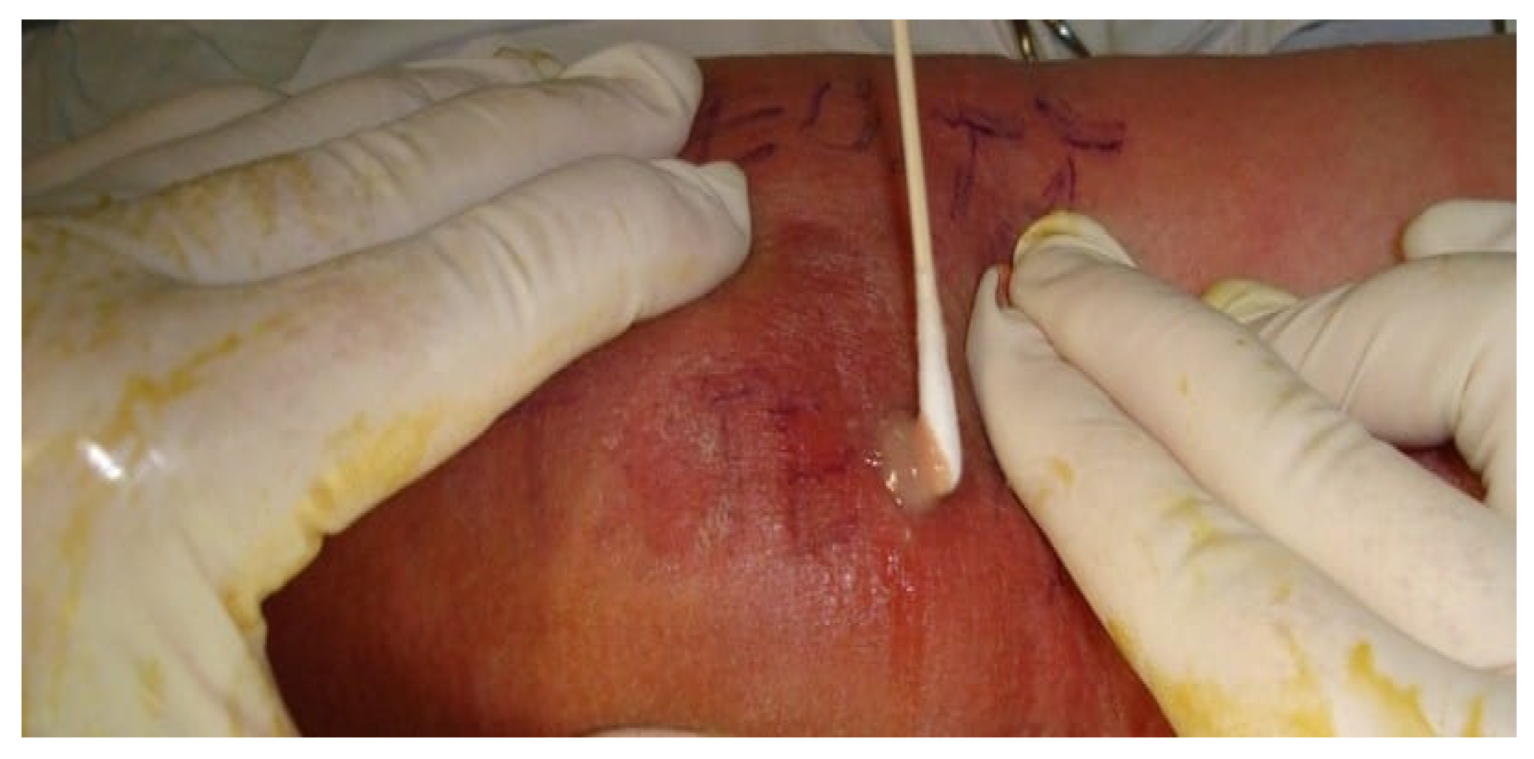 Preprints 154387 g003