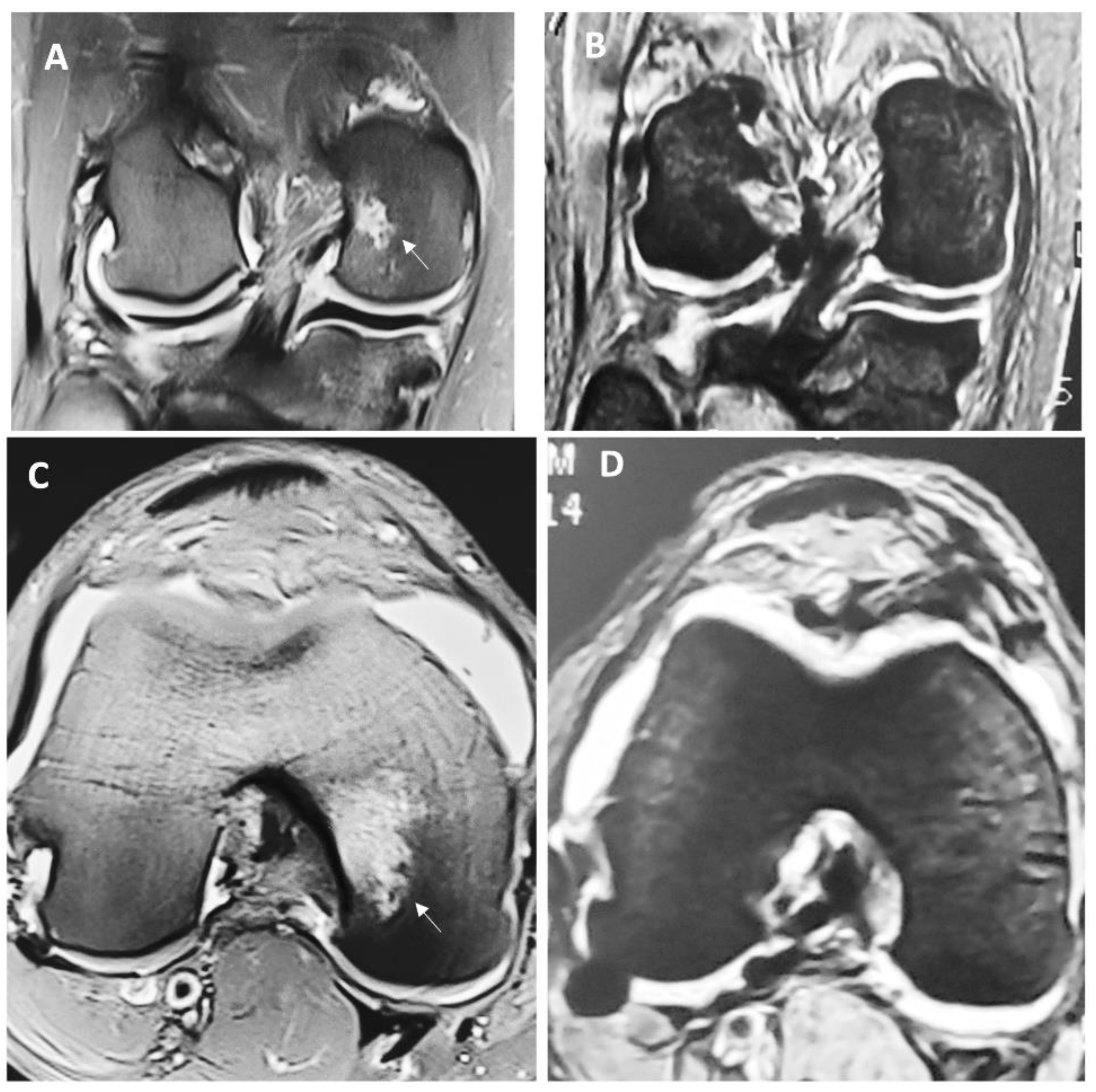Preprints 83890 g001