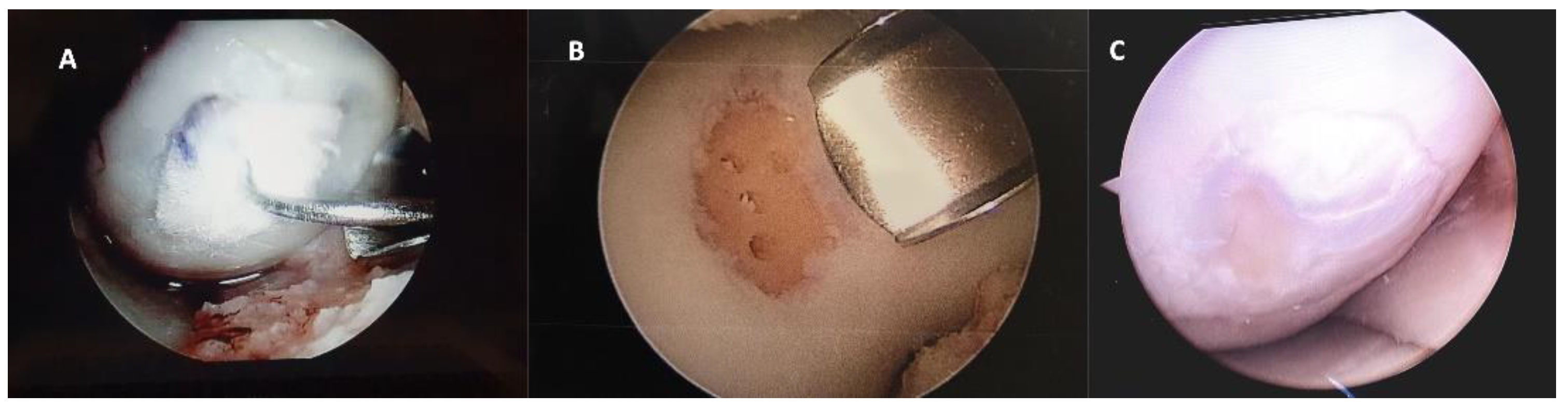 Preprints 83890 g004