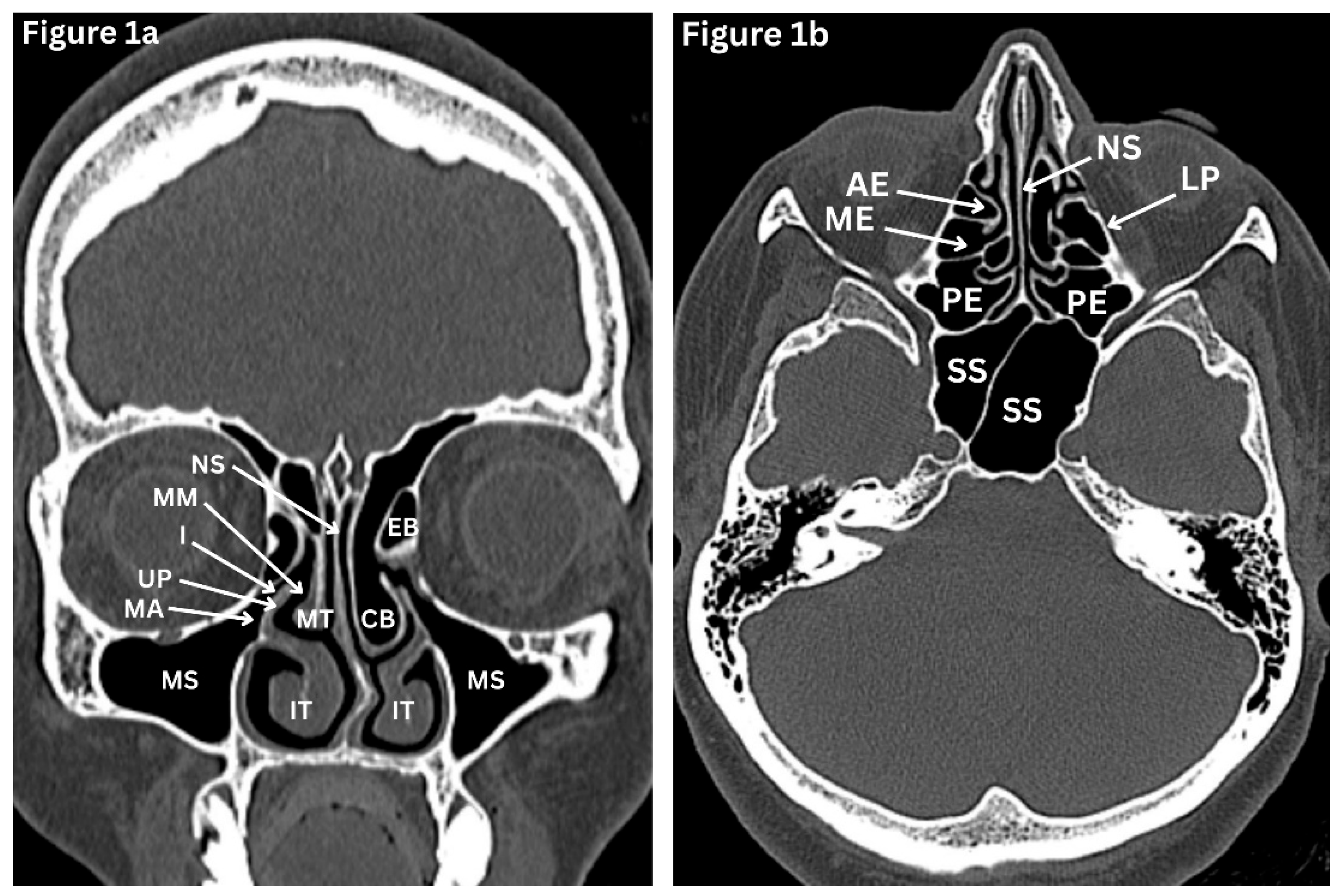 Preprints 191434 g001a