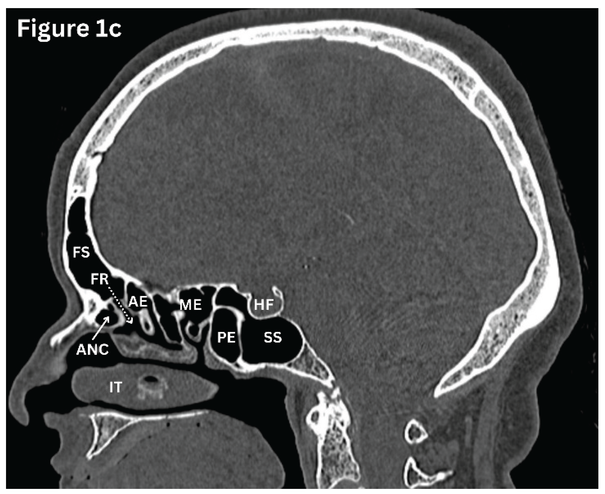 Preprints 191434 g001b